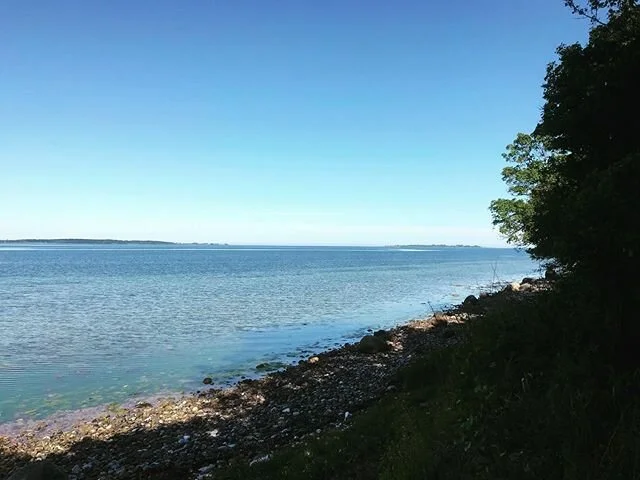Lige her i vandkanten på Ro 〰️ her dr&oslash;mmer vi om en dag at få bygget en sauna. Både til gl&aelig;de for &oslash;-boere og ikke mindst for at kunne forl&aelig;nge s&aelig;sonen for vores g&aelig;ster. Hvem er ikke til saunagus og &aelig;teri