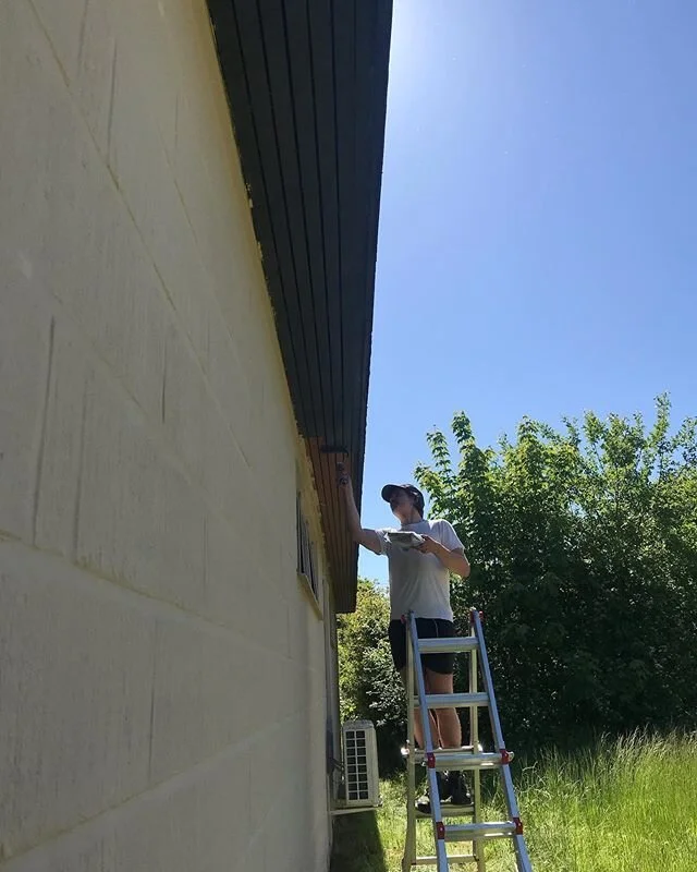 Alle bygninger f&aring;r nyt liv de her dage. Vi maler p&aring; livet l&oslash;s, og heldigvis er vejret perfekt 〰️ #b&aelig;redygtig #ferie #natur #naturcamp