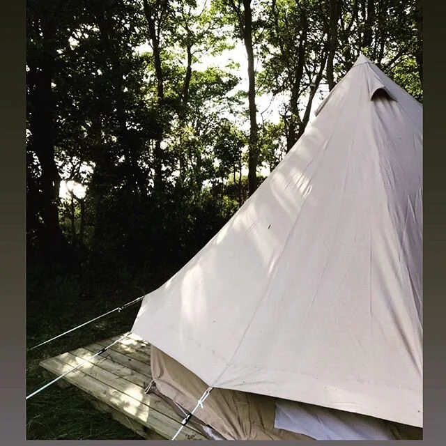 Vild weekend p&aring; Ro 〰️ S&aring; mange dejlige venner, som kom og hjalp med en masse h&aring;rdt fysisk arbejde hele weekenden &hearts;️ Det har givet os ret meget ro i maven, alt hvad vi har n&aring;et, og nu begynder tingene endelig at tage rig