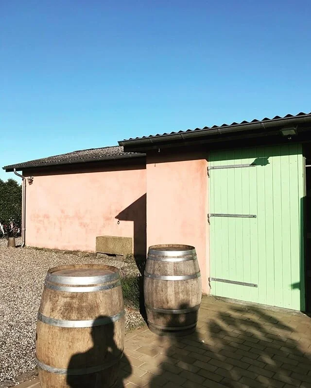 P&aring; Fej&oslash; har vi den dejligste lille ving&aring;rd, som ejes af Karin. Stedet hedder @hideawayfejoe og hele sommeren laver de frokostpicnickurve og om mandagen er der grill aften. En k&aelig;mpe oplevelse syntes vi 🍇 og s&aring; smager vi