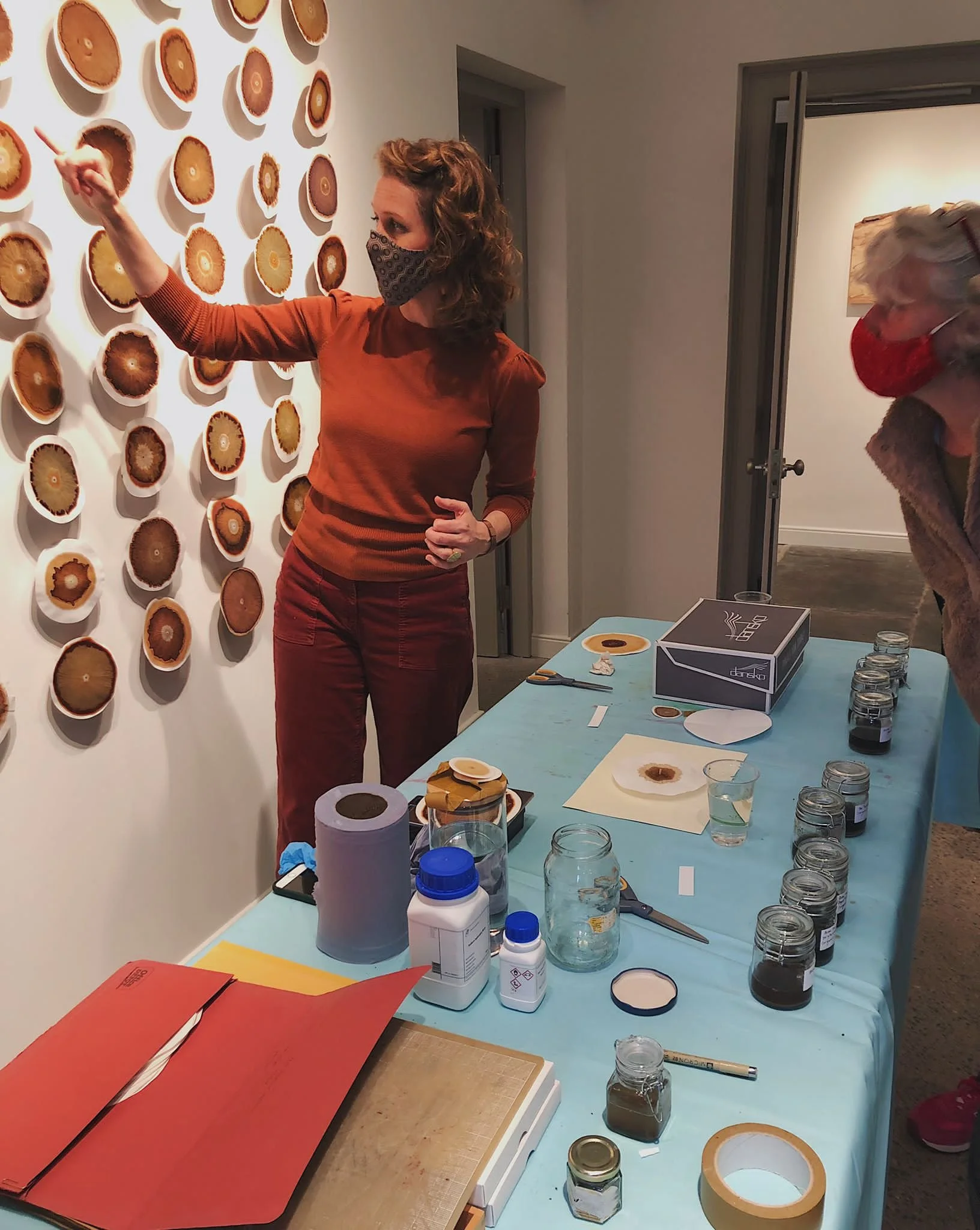 Soil Chromatography Workshop