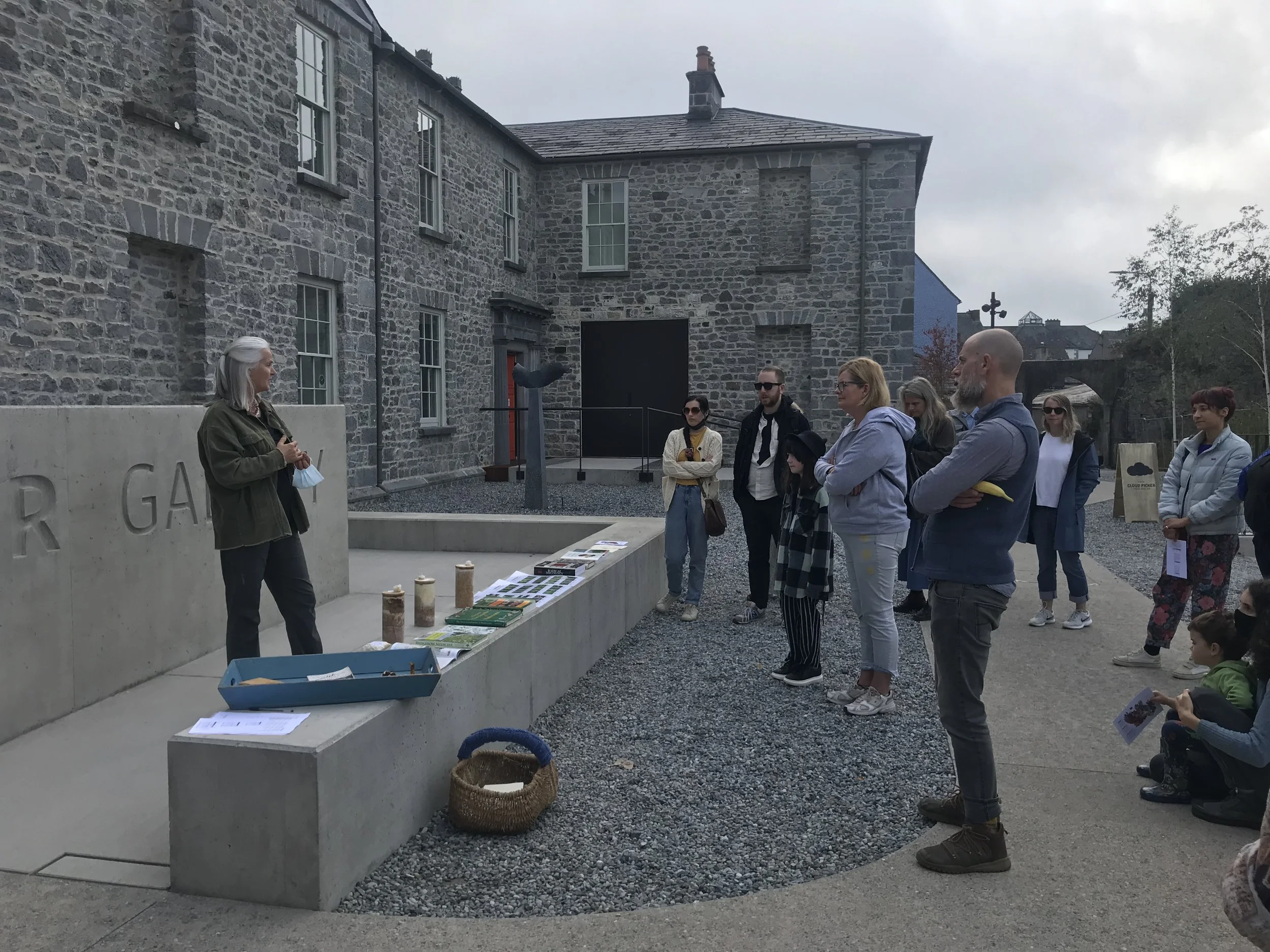 A Foraging for Fungi walk around Kilkenny and the castle grounds with Wild Food Mary Bulfin.