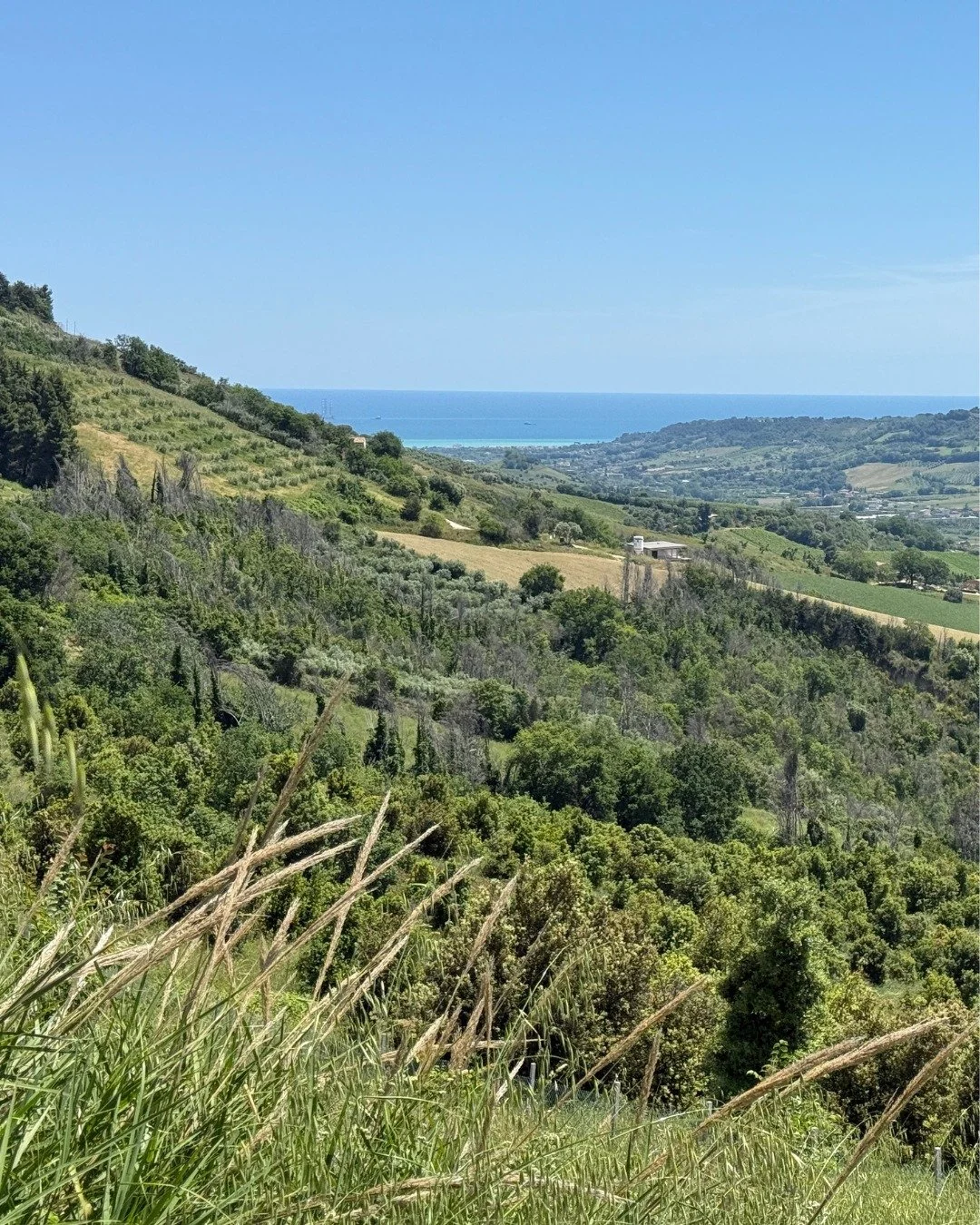 From the rolling hills to the Adriatic Sea, every corner of Le Marche holds a little magic ✨

#lemarche #italy #italianlifestyle #ladolcevita #italiansummer #italianholiday #slowtravelitaly #italianlife