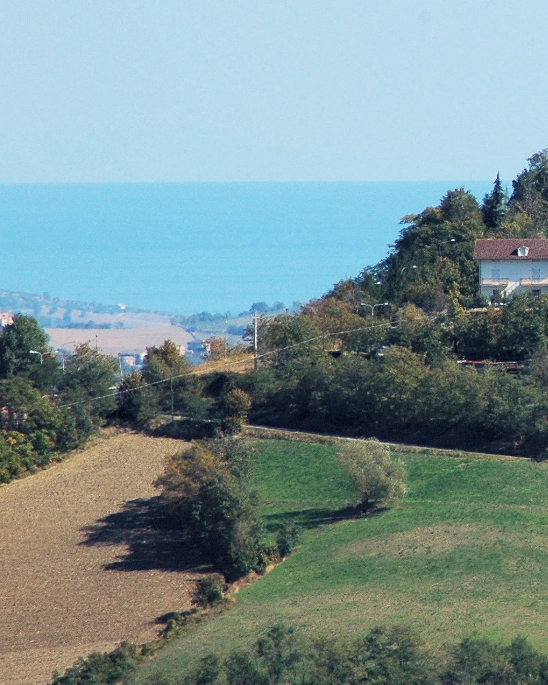 The kind of view that never gets old 🥹

In Le Marche, every direction tells a different story. 

From hilltop medieval villages to snow-capped mountains, golden beaches to rolling vineyards and all the patchwork fields that sit in between... Few reg