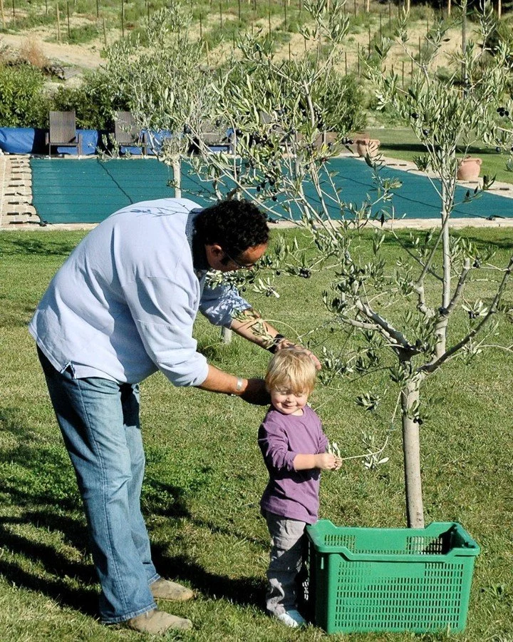 Throwback to one of our first Italian dreams coming true 🥹

Fresh produce, olive groves and a life we once thought was just a dream. Coming to Italy showed us that La Dolce Vita had always been closer than we realised.

More than twenty years on, we