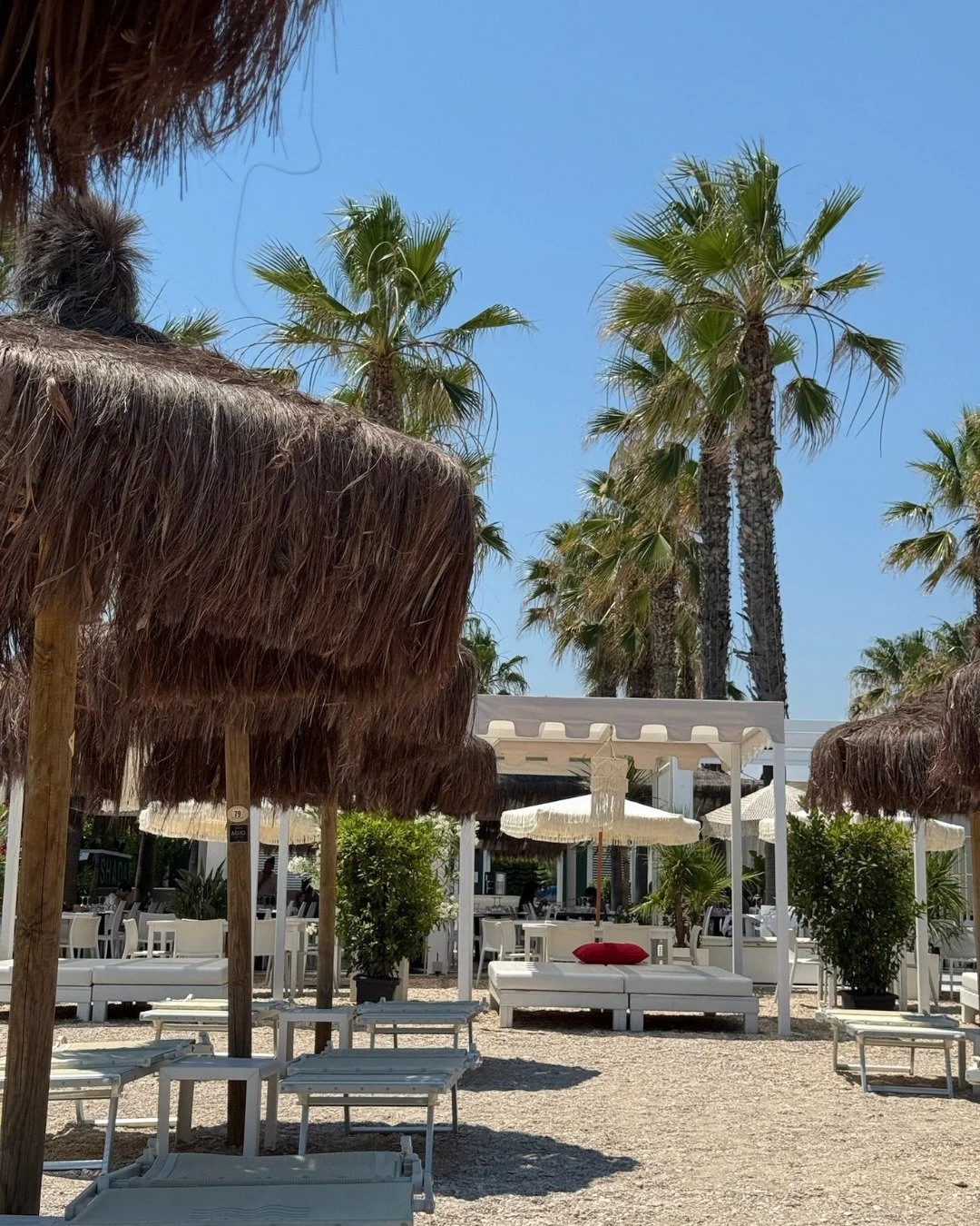 Beach club season is back 🙌🏼

This weekend, we&rsquo;re making our 2026 debut at @shadaclubofficial. Fresh seafood, crisp white wine and a day spent lounging in the sun.

We're starting the summer as we mean to go on 🥂

#lemarche #beachclub #white