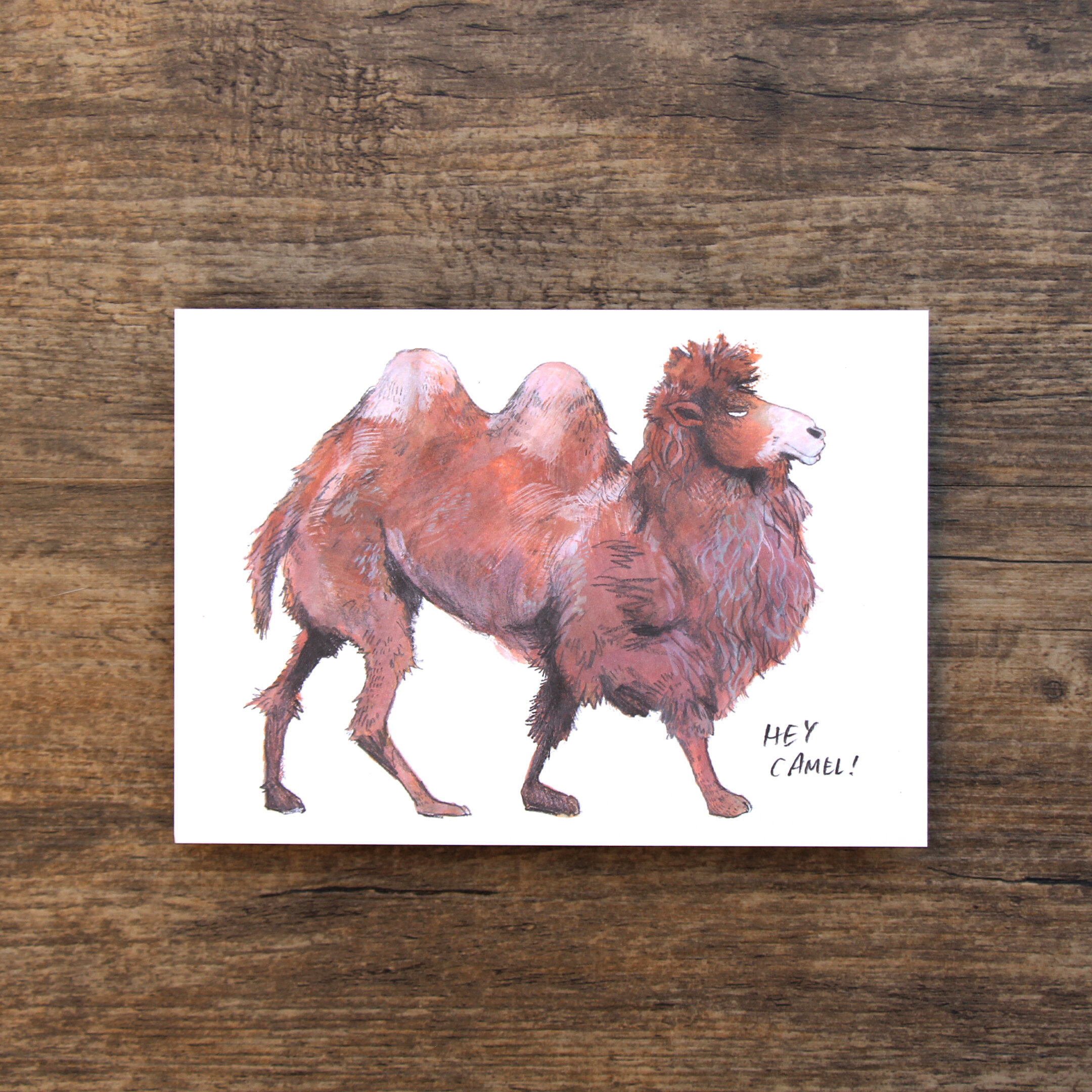 camel_2019_sq.jpg
