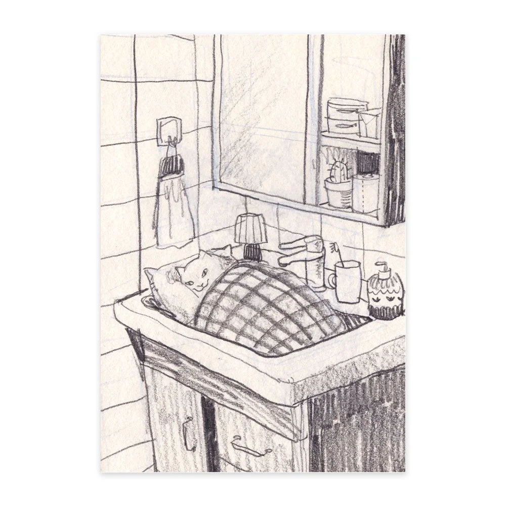 Sleep in the Sink Postcard