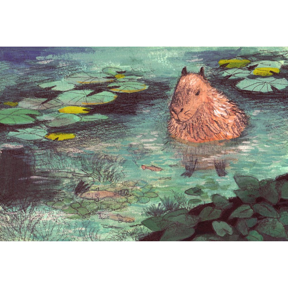 2019_capybarainthepond_final_SQ.jpg