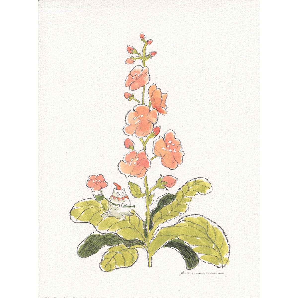 Cat Fairy on Pink Flower leaves_2025_1200.jpg