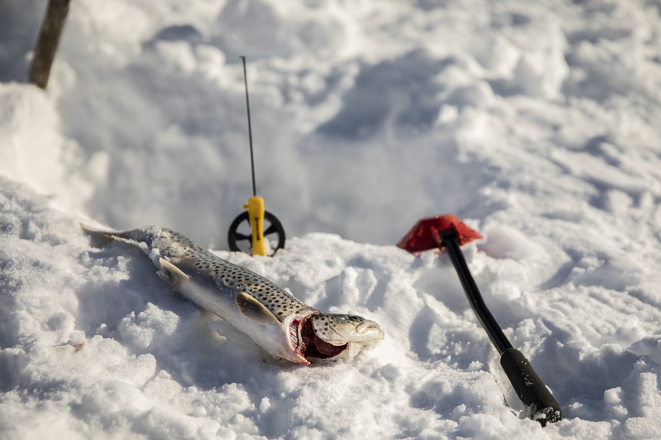 Ice Fishing Målnes.jpg