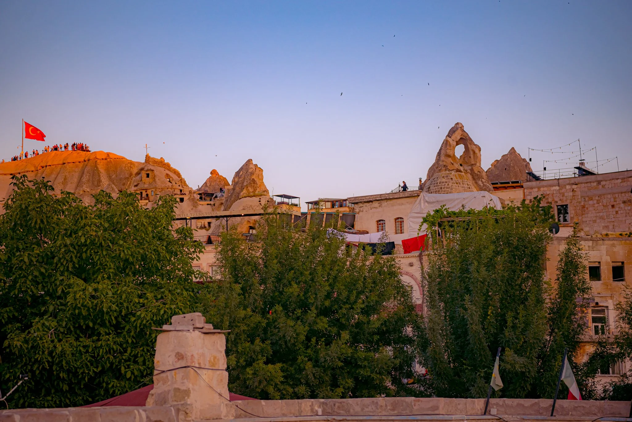 DSC_1262.jpg
