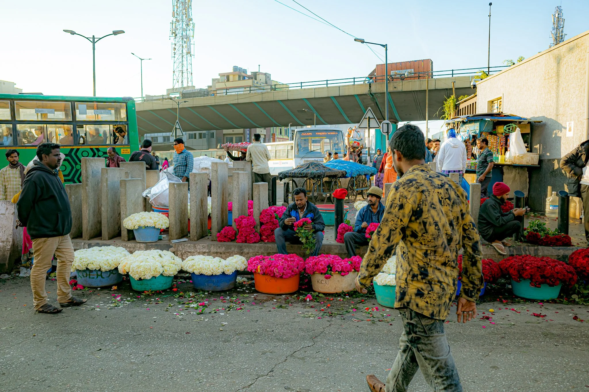 R0006987.jpg