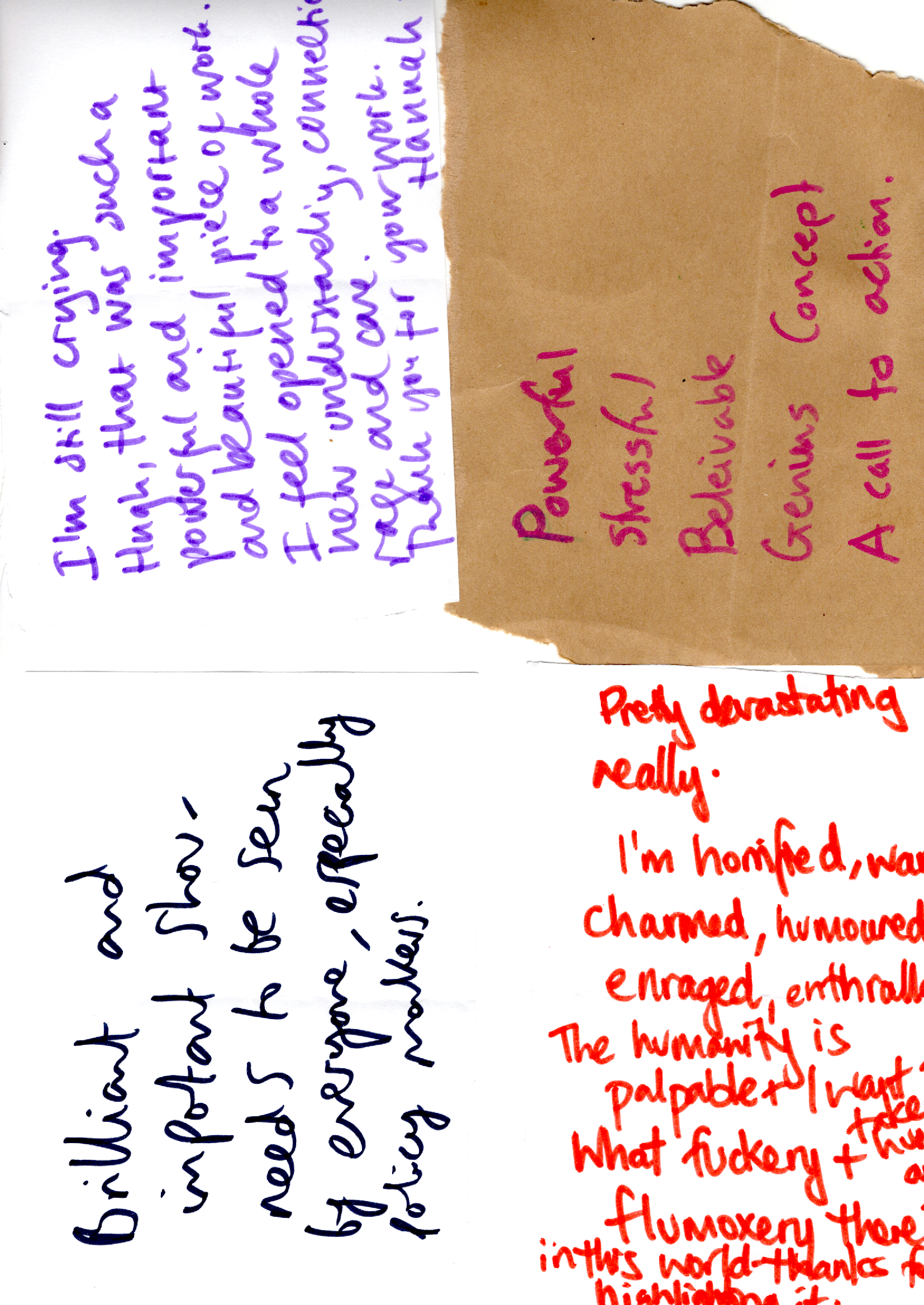 BOXED-May 2026 audience feedback 6.png