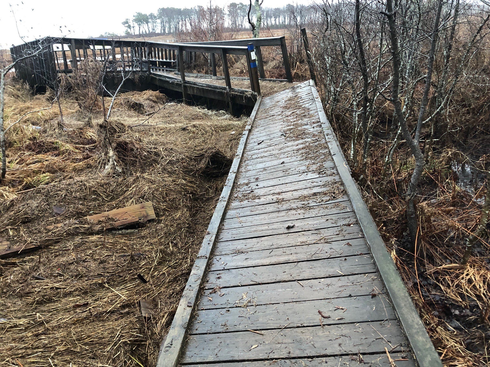 Wells National Estuarine Research Reserve (Wells Reserve at Laudholm)