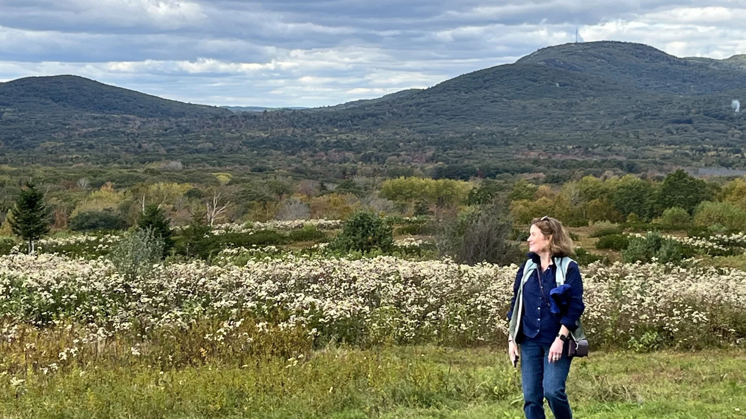Further afield, favorite locations include Penobscot River Trails (Stacyville), Long Point Preserve (Machiasville), Shepherd’s Farm Family Preserve (Norway), and Blue Hill Mountain, to name a few. (Pictured is Beech Hill Preserve in Rockport.)