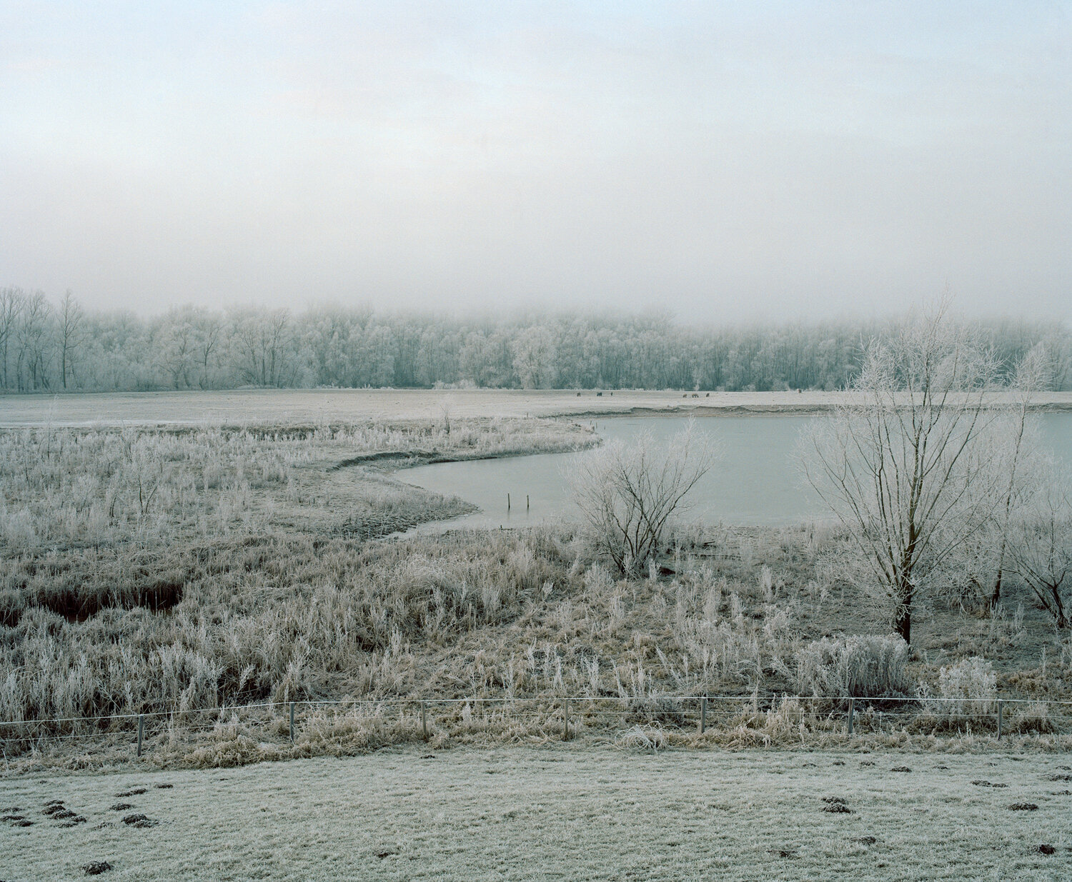 gelderland_06 copie.jpg