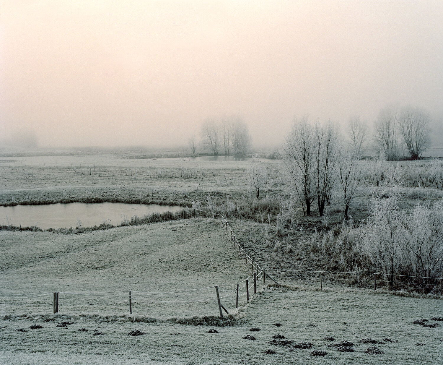 gelderland_05 copie.jpg