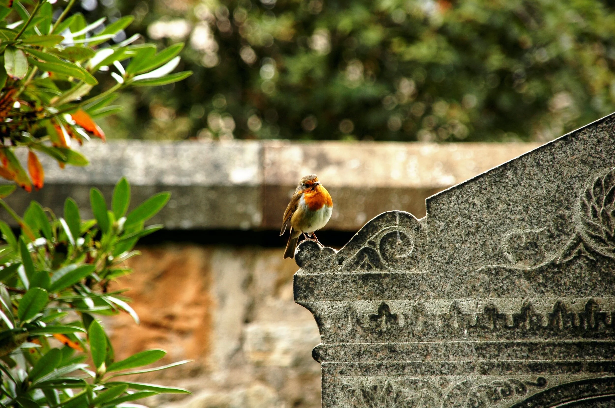Friedhof Kleinfeld in Dulliken