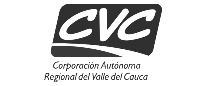 CVC.png