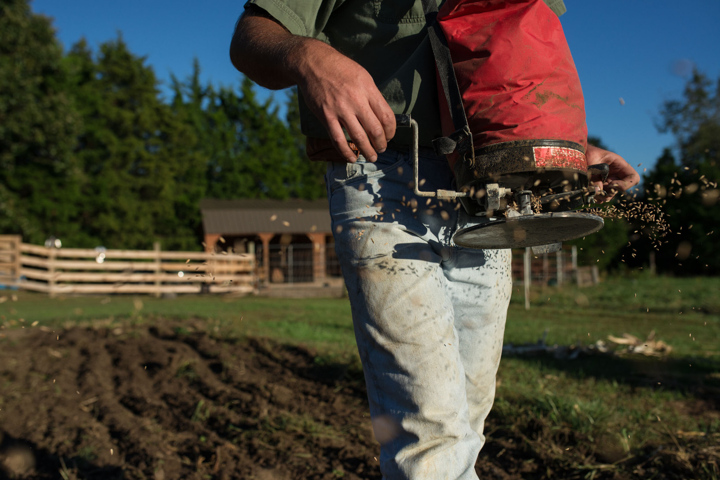 Nathan Mast seeds the freshly tilled garden plot with rye to rejuvenate the nutrients in the soil. “We don’t have all the fancy equipment other farms have,” Nathan said.