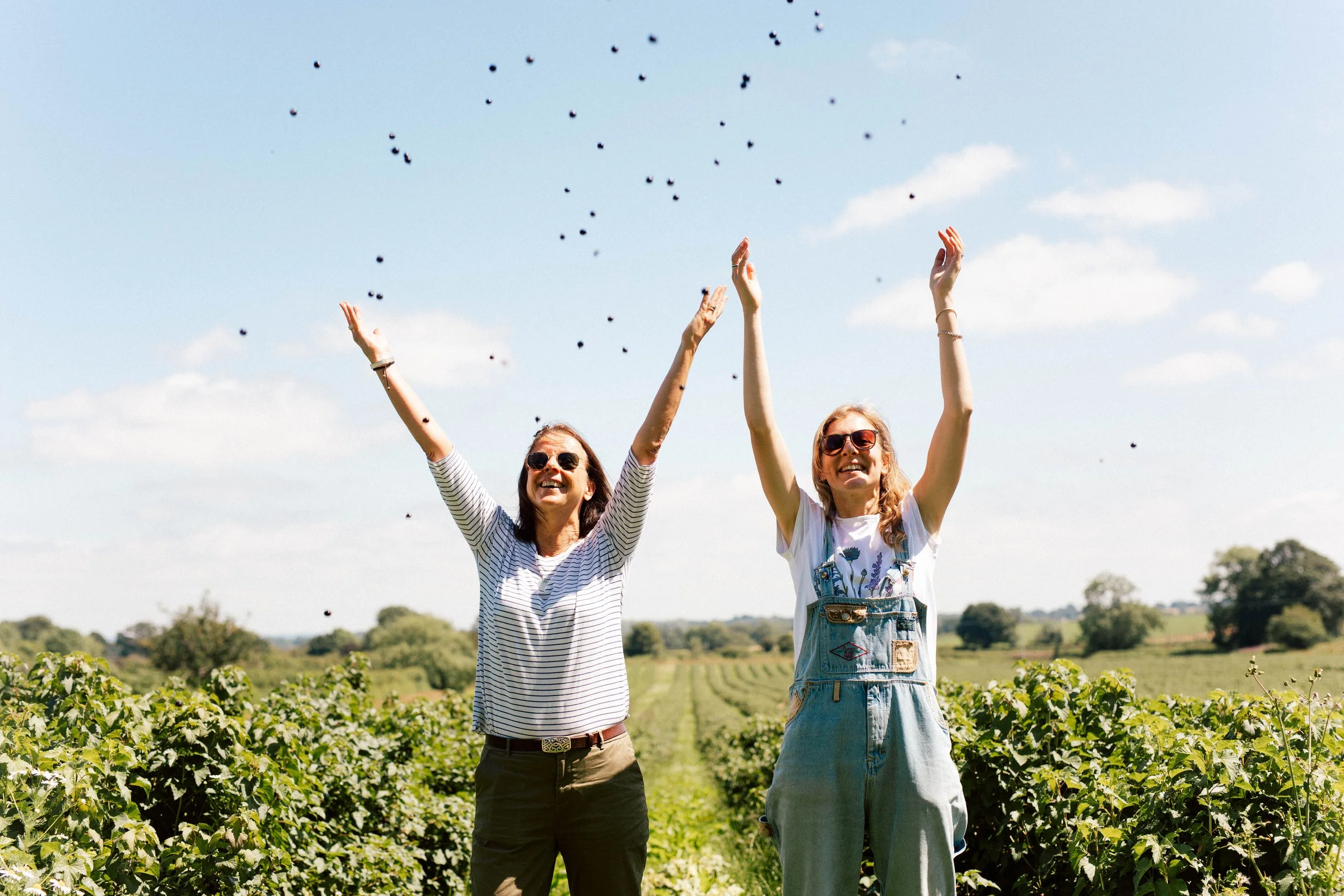 Celebrate the British Blackcurrant Season