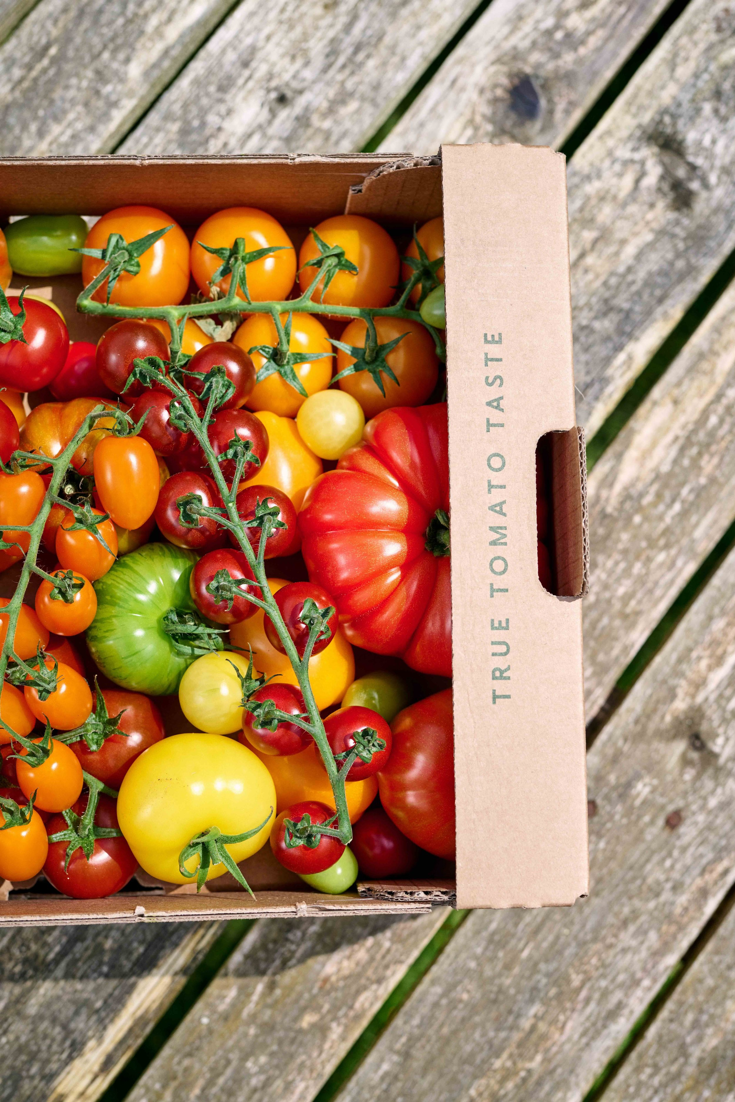 Isle of Wight tomato box.jpeg