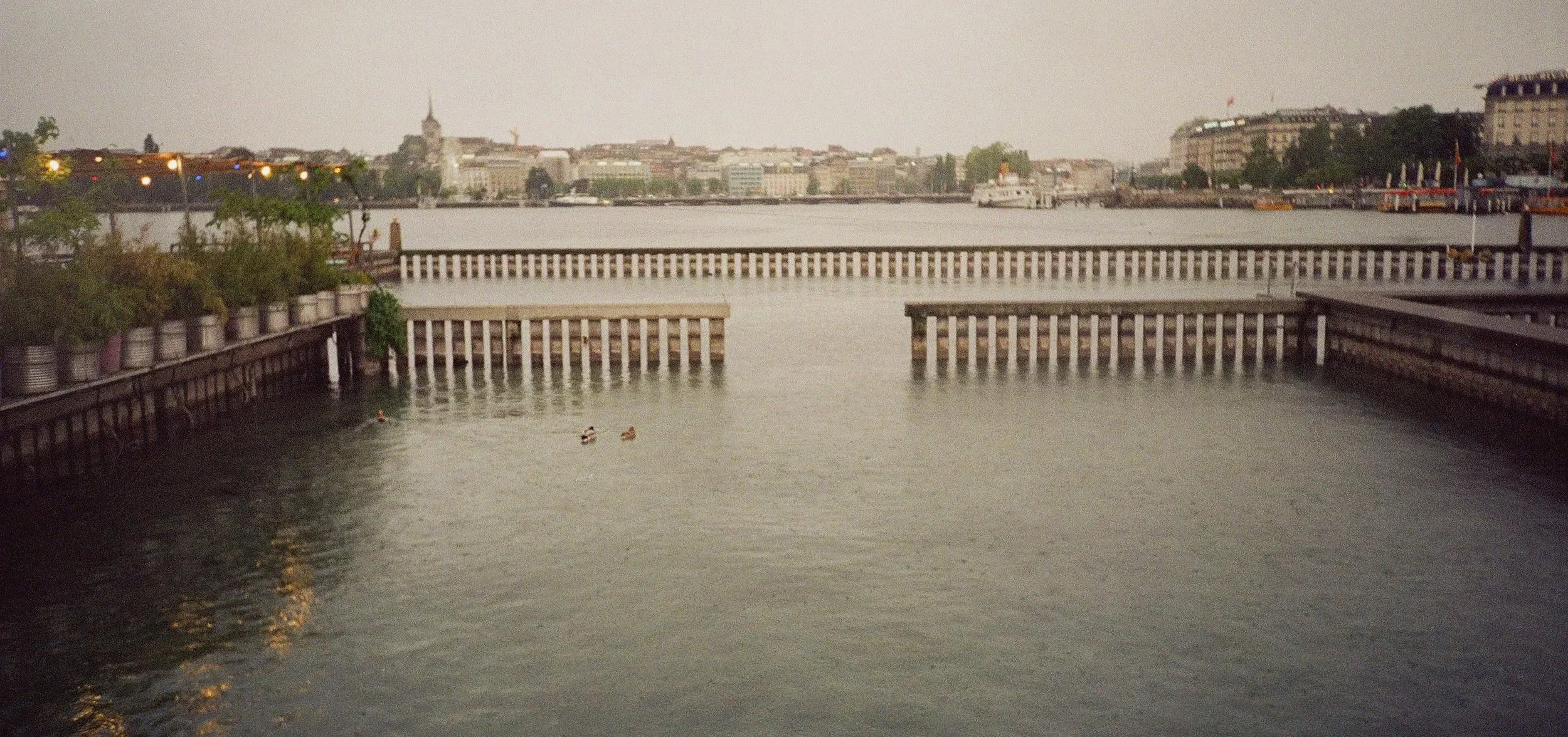 010900420010.jpg