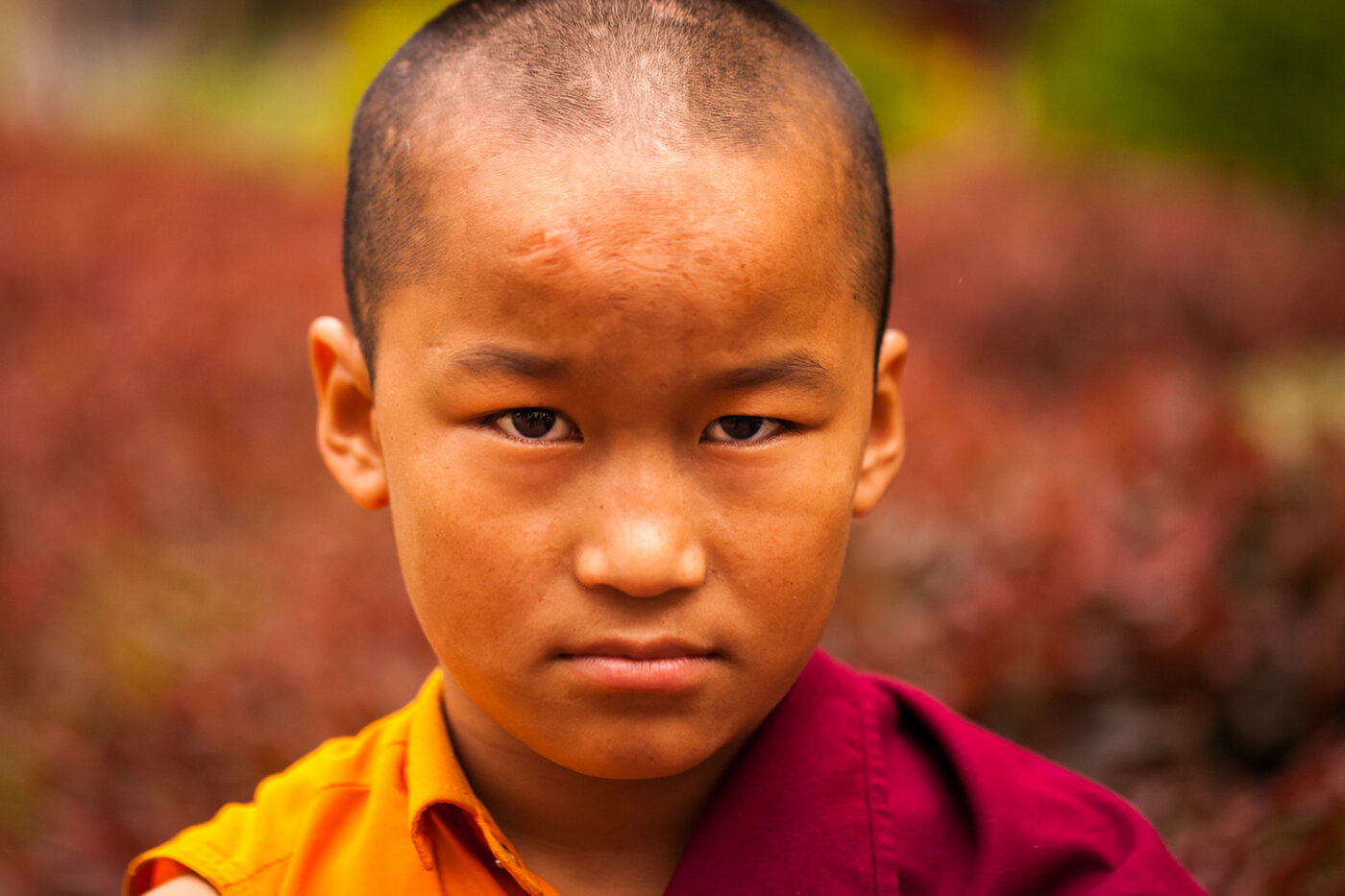  Portrait of a little Buddhist Monk at The Namdroling Nyingmapa Monastery, Bylakuppe, Karnataka, India 