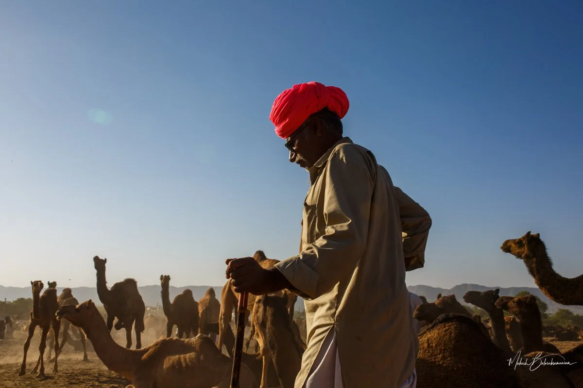Pushkar