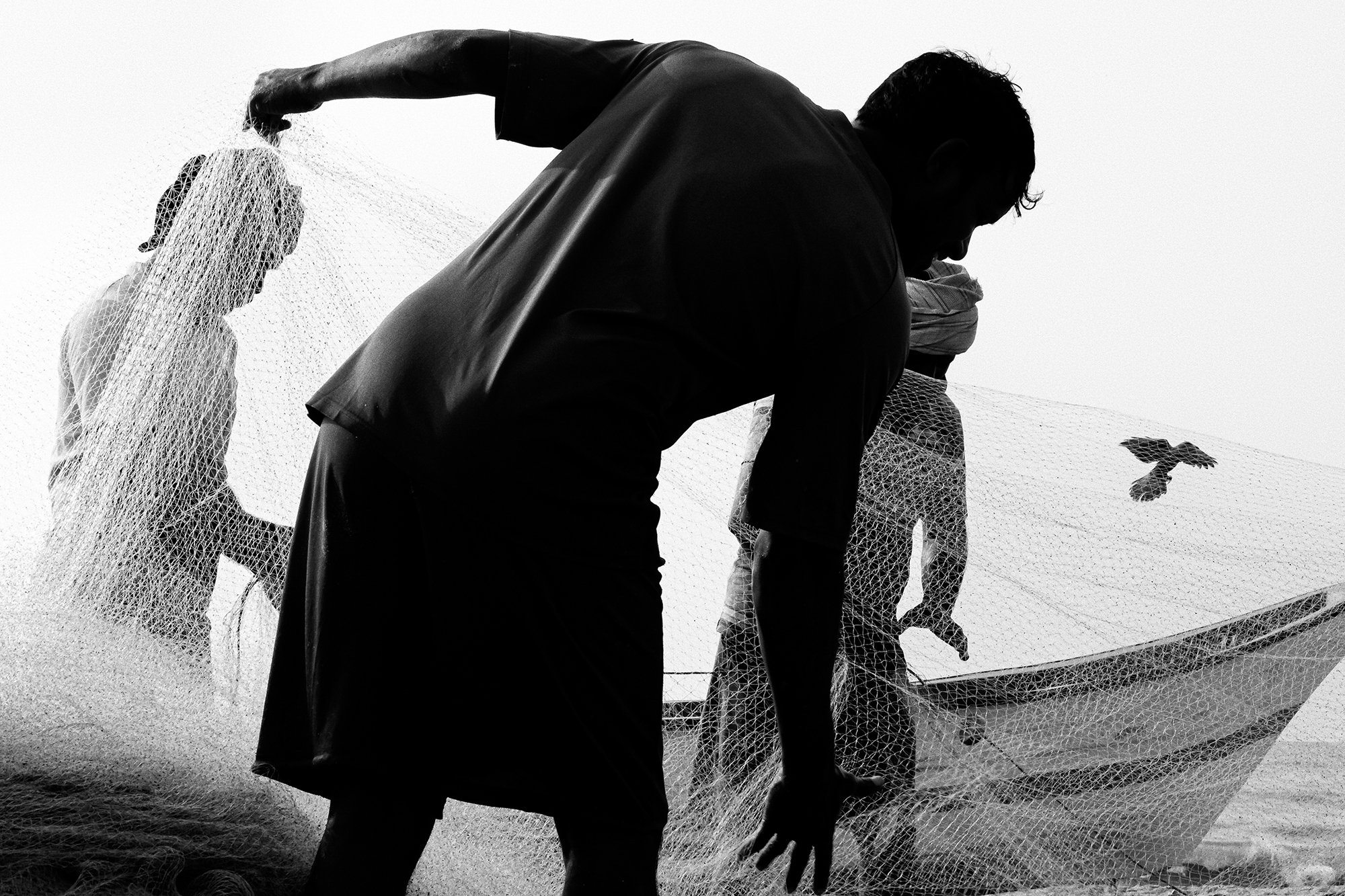 The Net