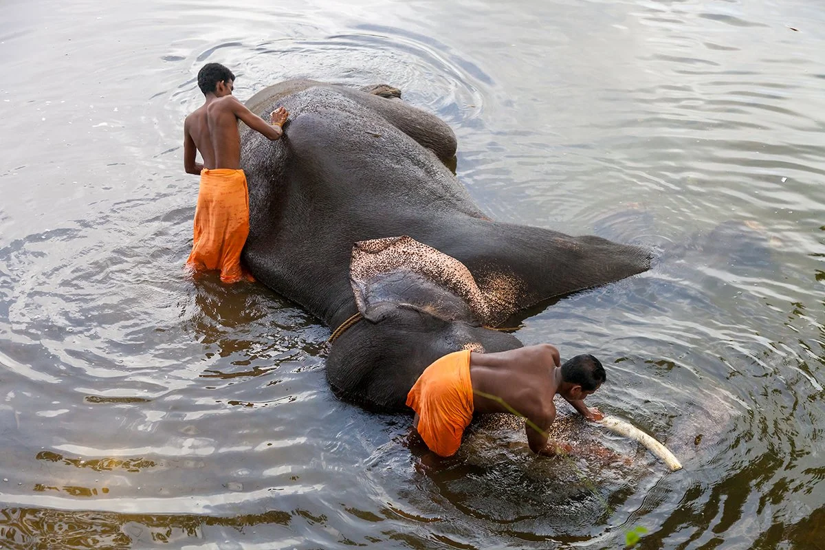 Kodanad, Kerala, India
