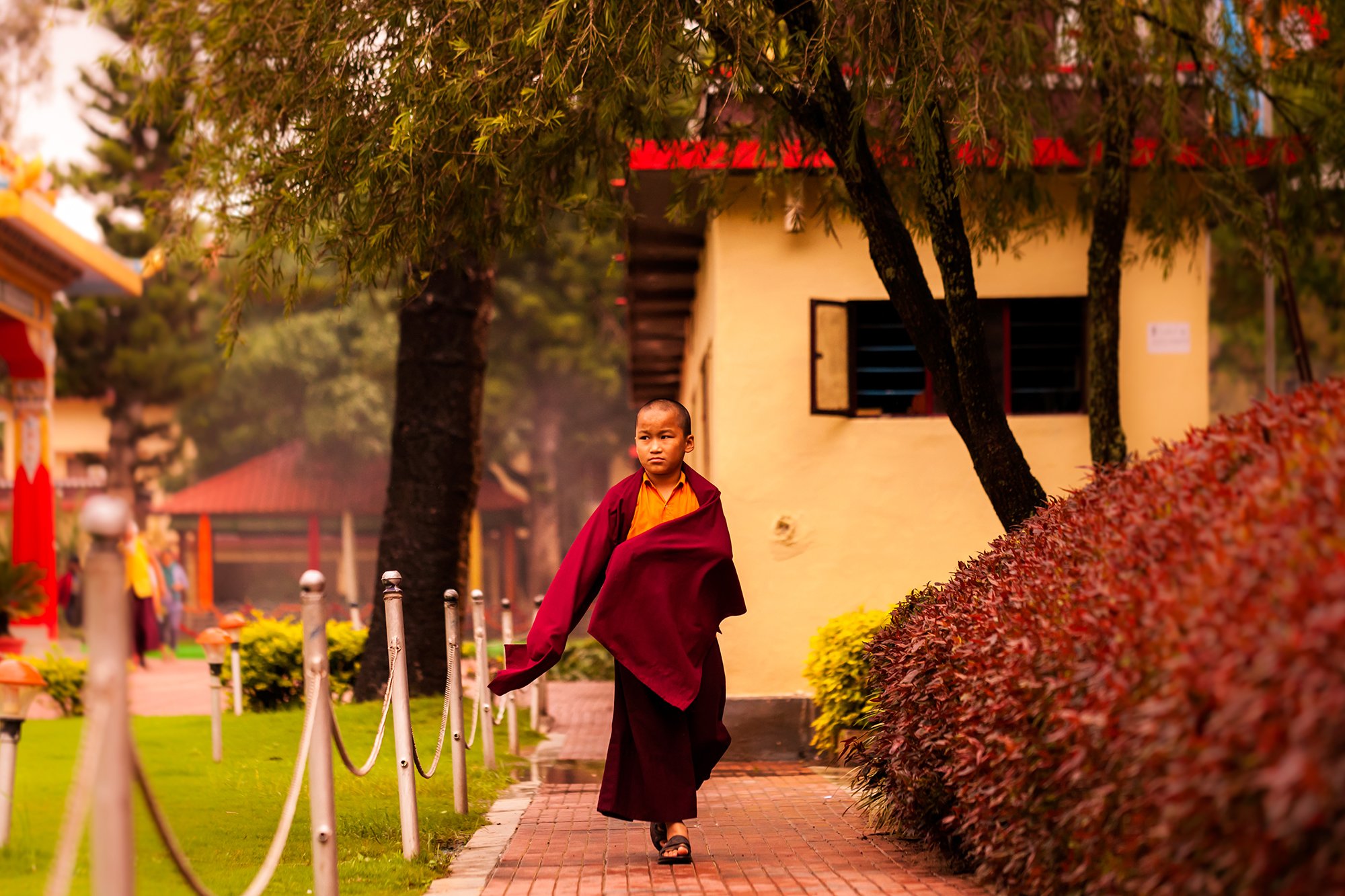 Young Monk, Bylakuppe, India

A young monk walks through the monastery in Bylakuppe, Karnataka.