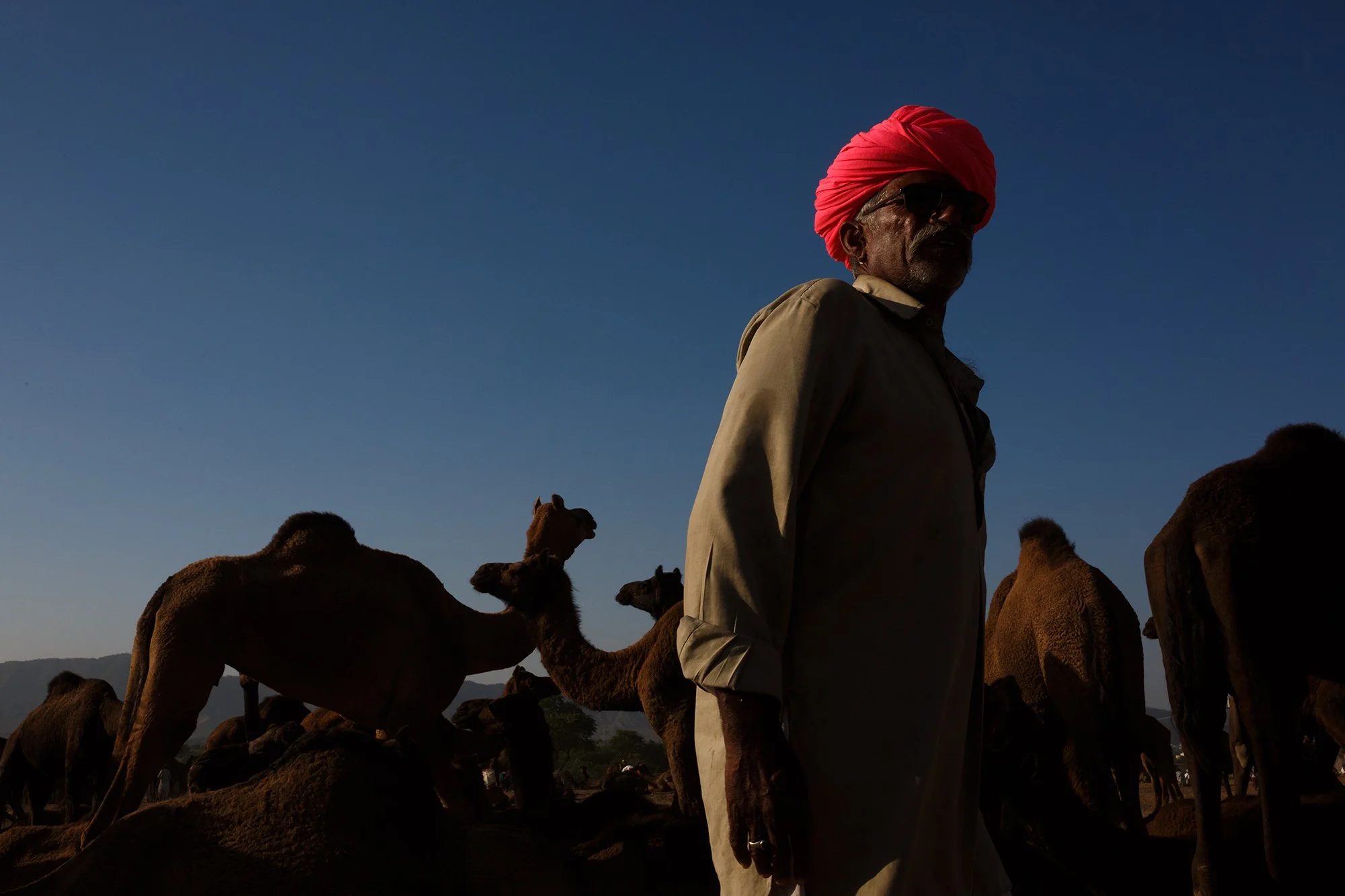 Camel Herder, Pushkar
A camel herder stands among his camels at the Pushkar Camel Fair in Rajasthan, where livestock trading remains an enduring part of the region's culture and livelihood.