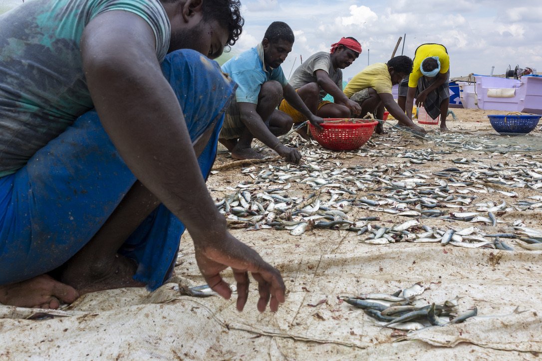 Manapad, India, 2019