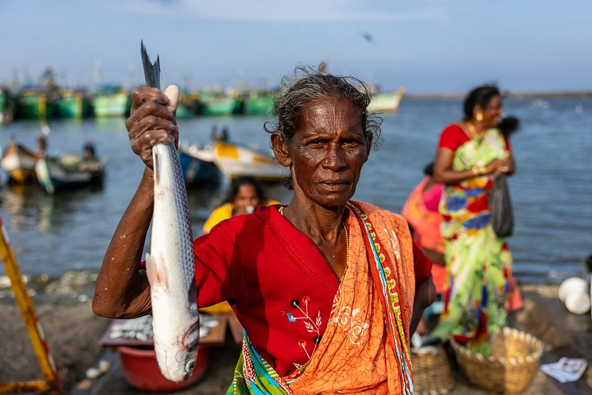 Kasimedu, Chennai, India, 2026