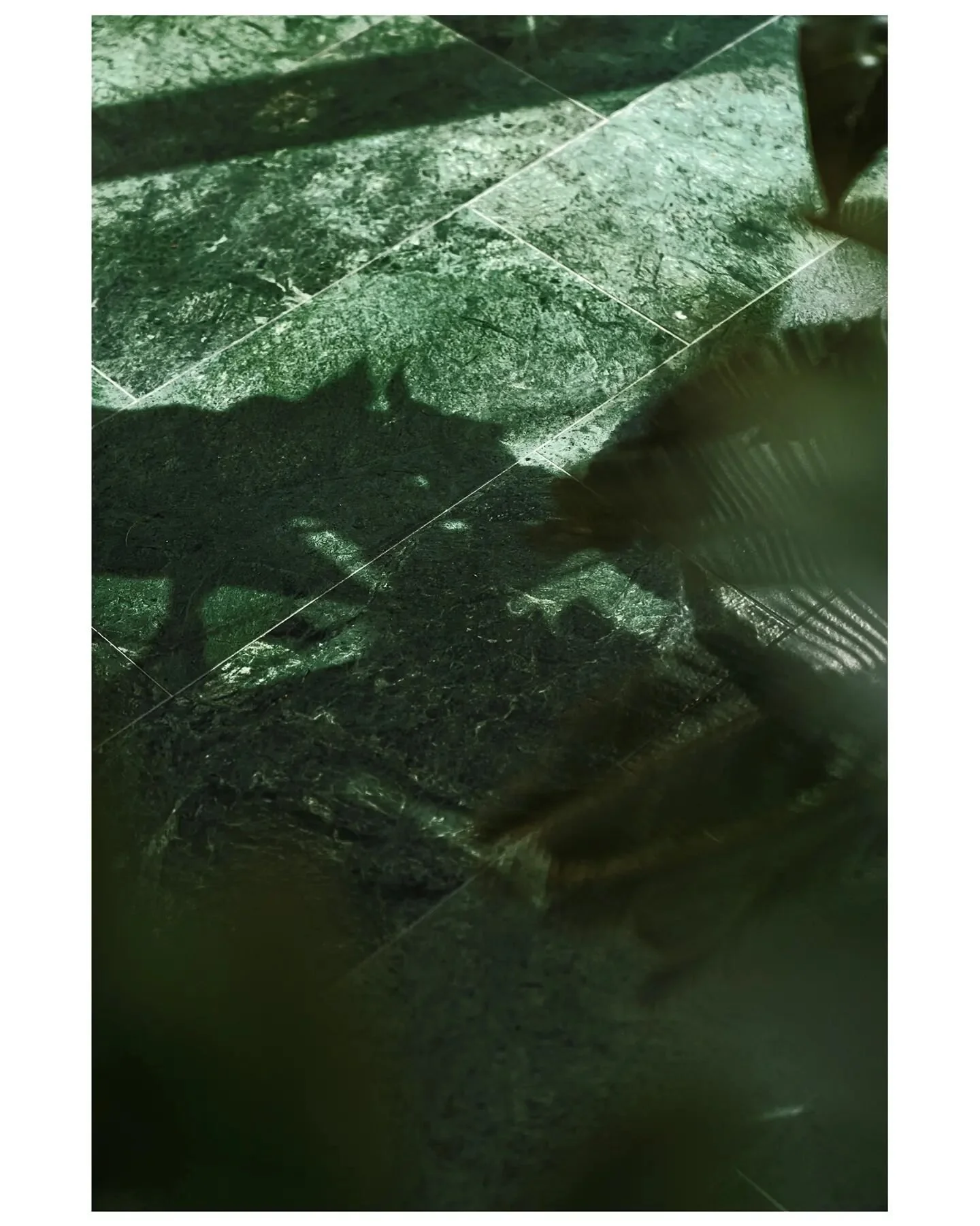 Photo shoot for @loft_ma 
.
.
.
.
.
.
.
.
.
.
.
.
.
.
.
.
#ad #architecturedigest #architecture #modernluxury #modernapartment #interiordesign #interiorphotography #interiordesignphotography #archi
#interiorismo #architekturawnętrz #interiorinspirati