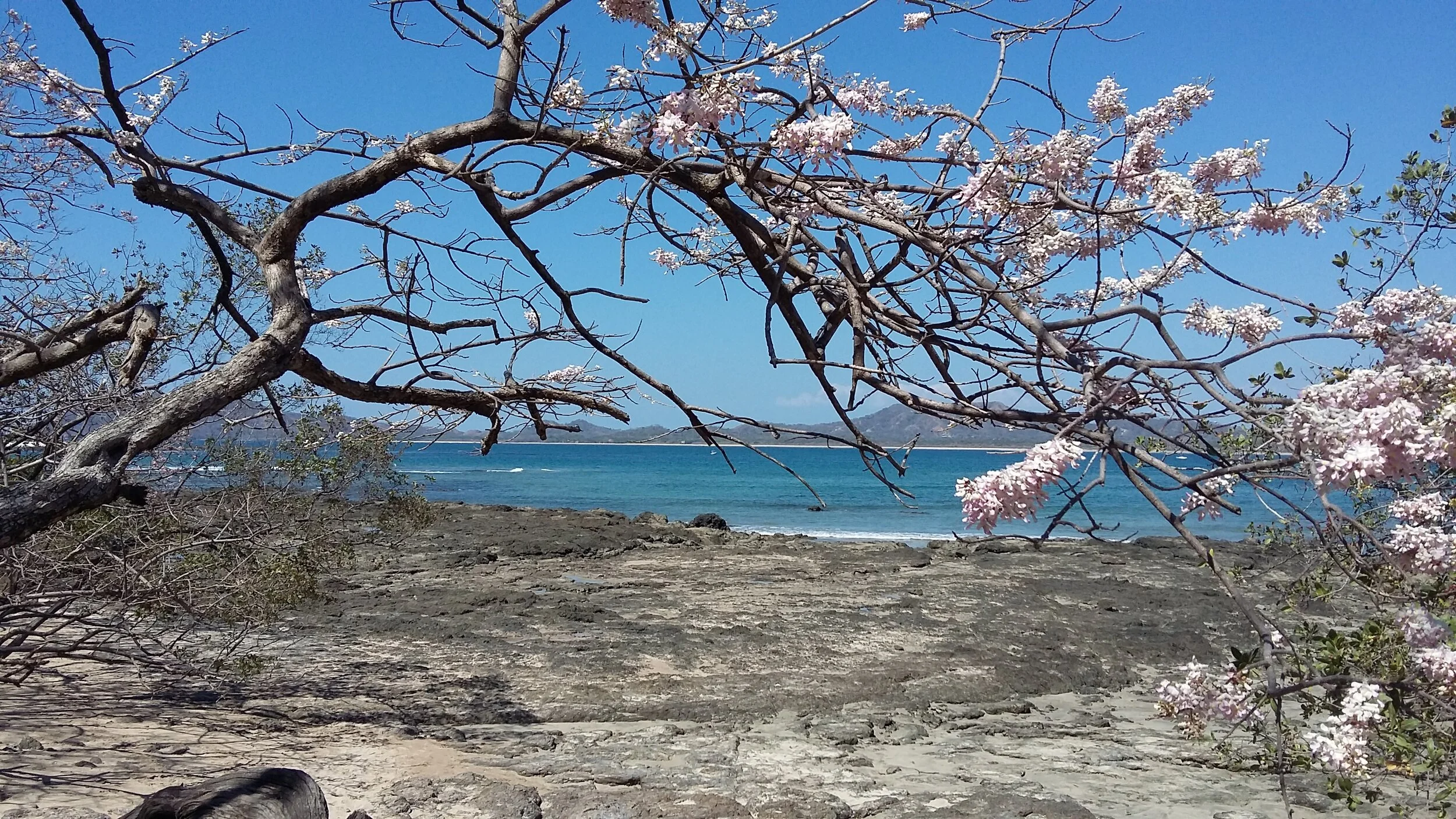S to N Tamarindo Bay.jpg