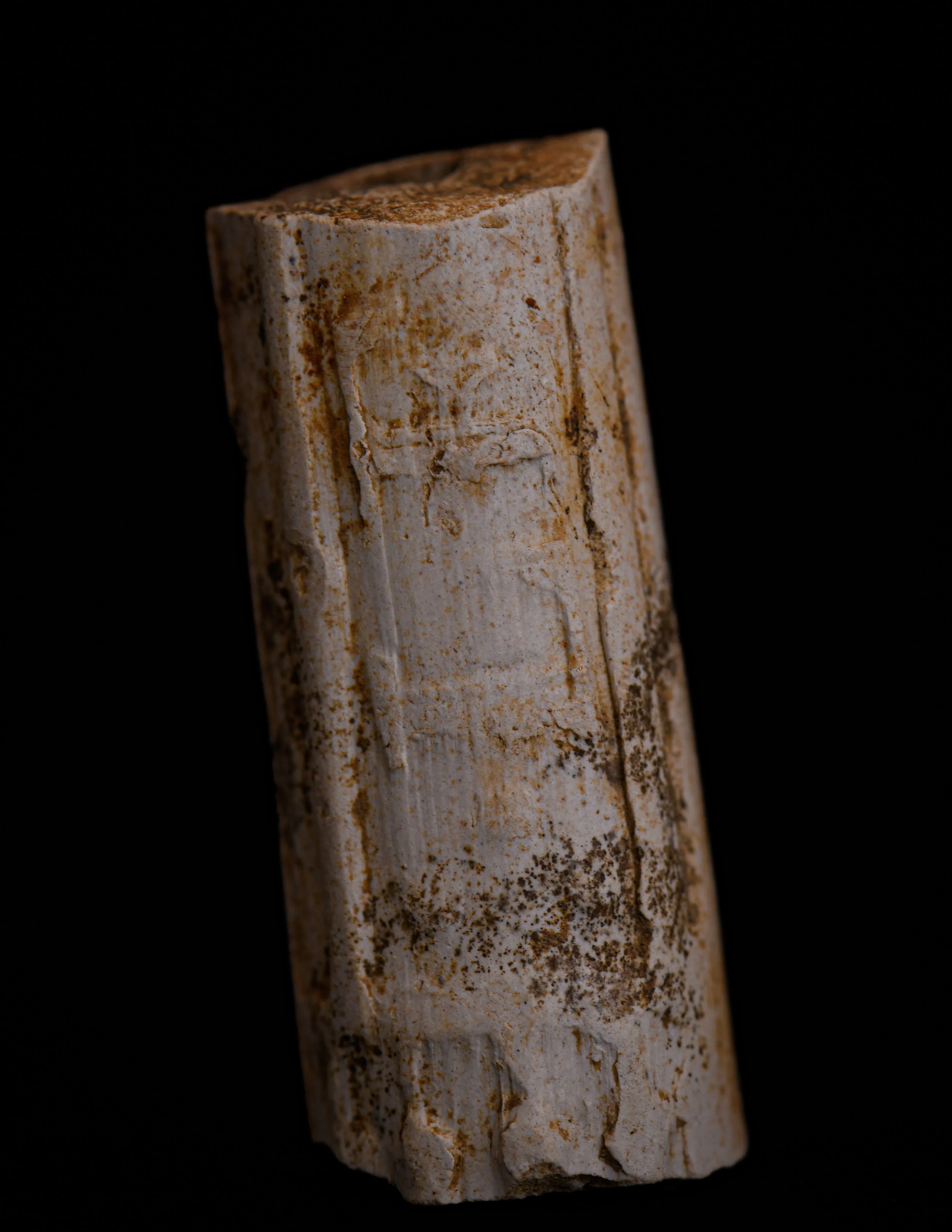 N965 E3635 Level 2 Feature 7B Bag 3