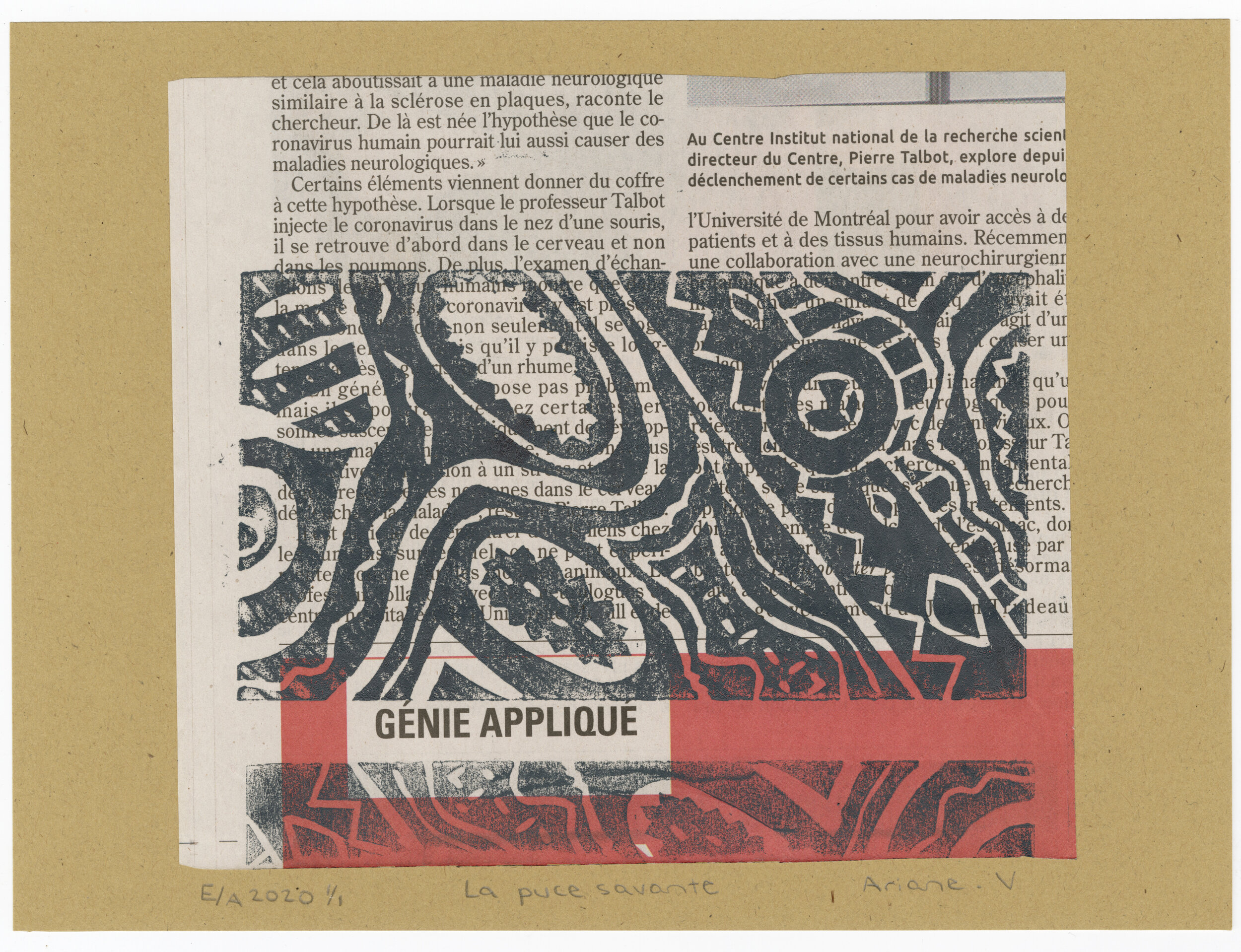 Linogravure "La puce savante"  