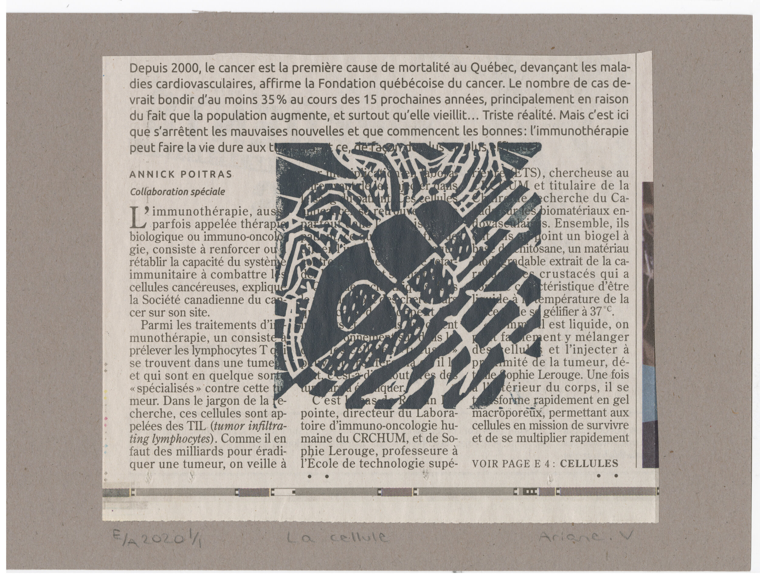 Linogravure "La cellule"  