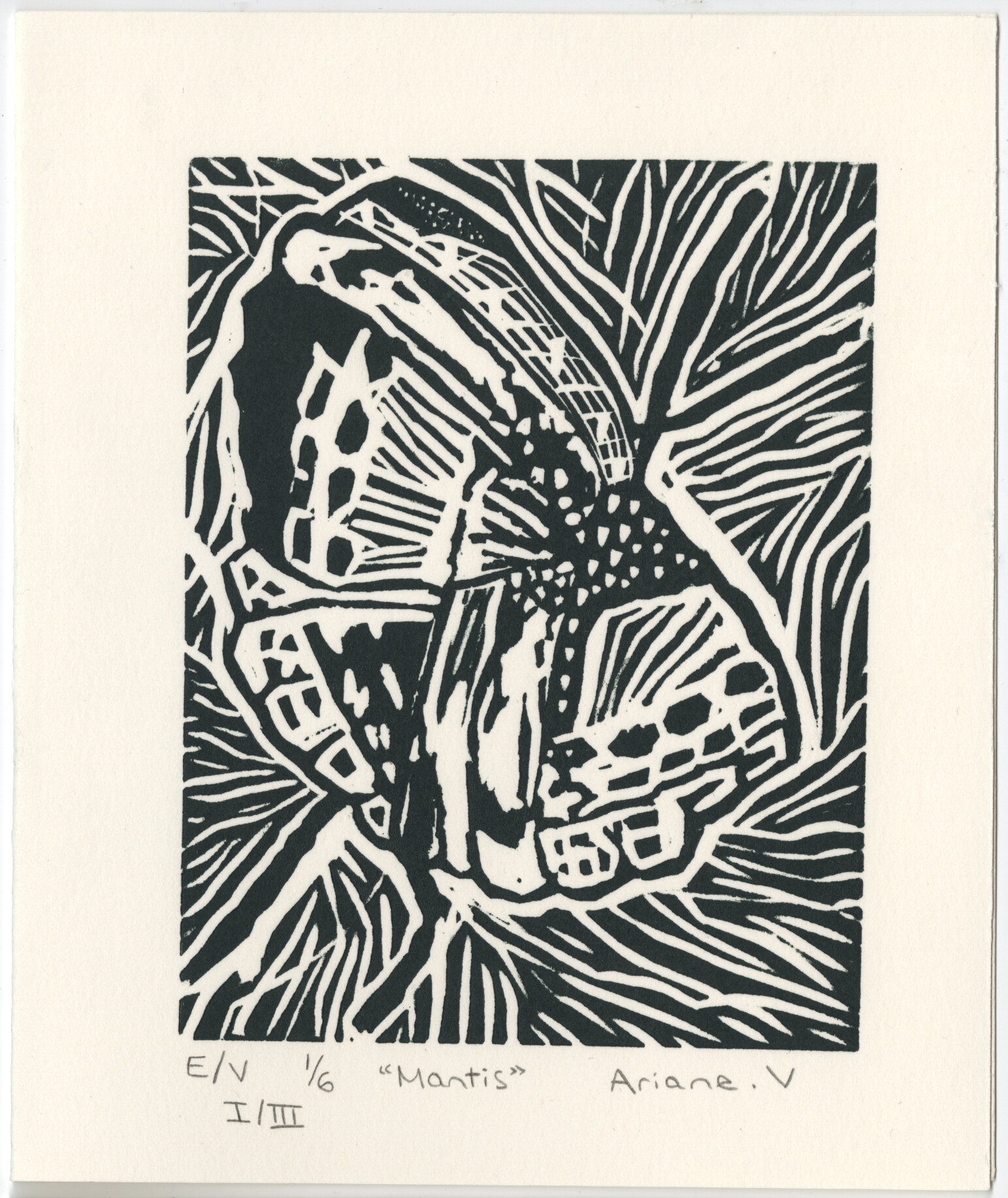 Linogravure "Mantis"  I/III - Carte de voeux