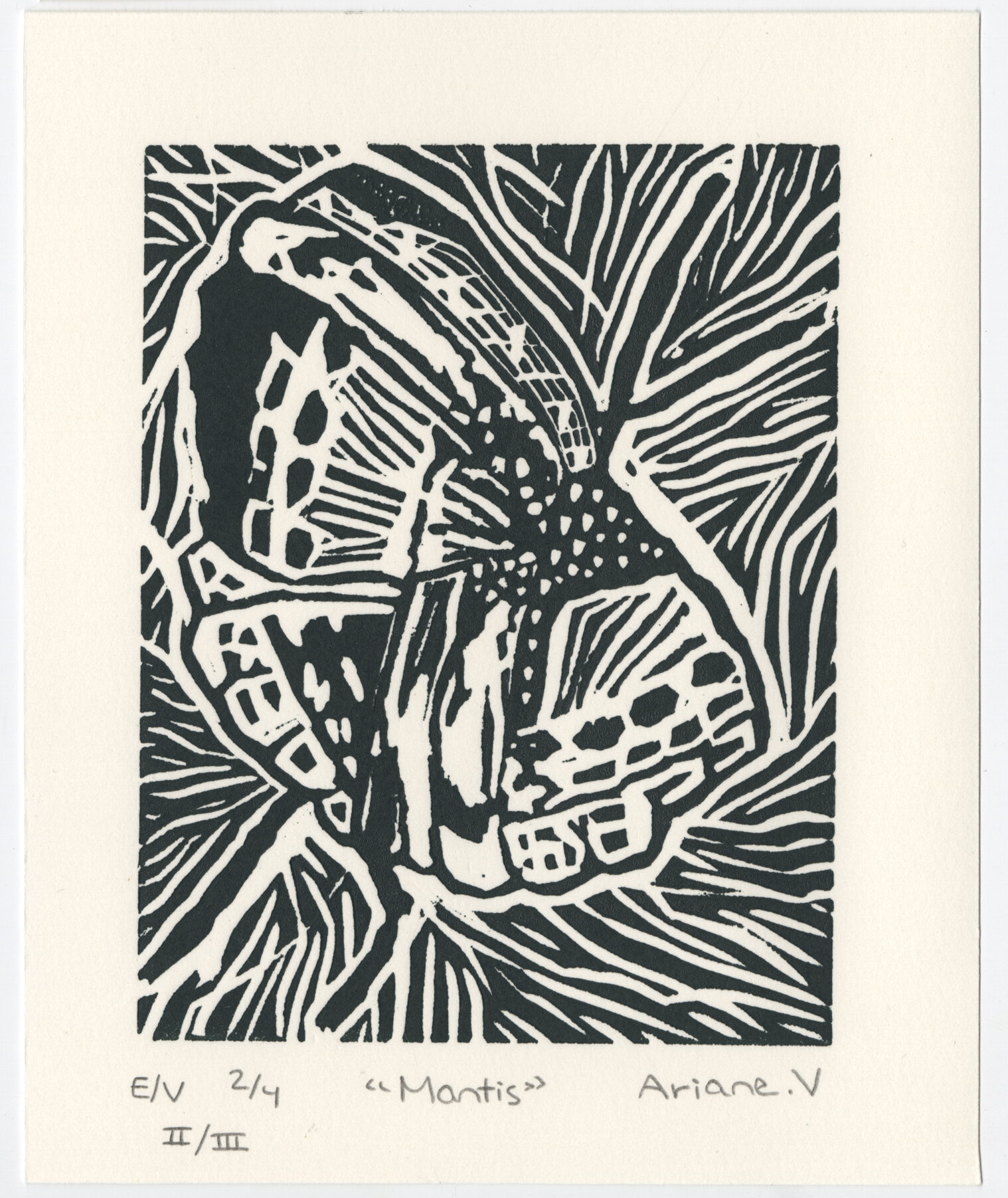 Mantis.EV. 2.4 2.3. Mantis. Carte Postale.jpg