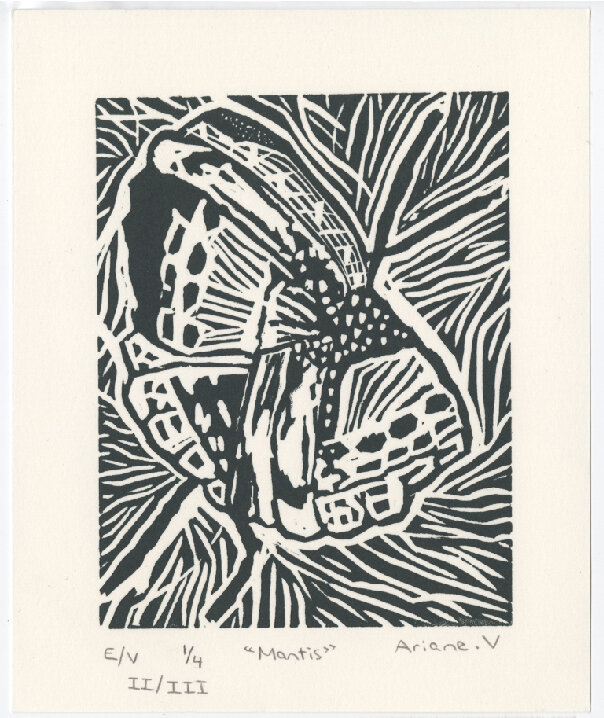 Linogravure "Mantis"  I/II - Carte postale
