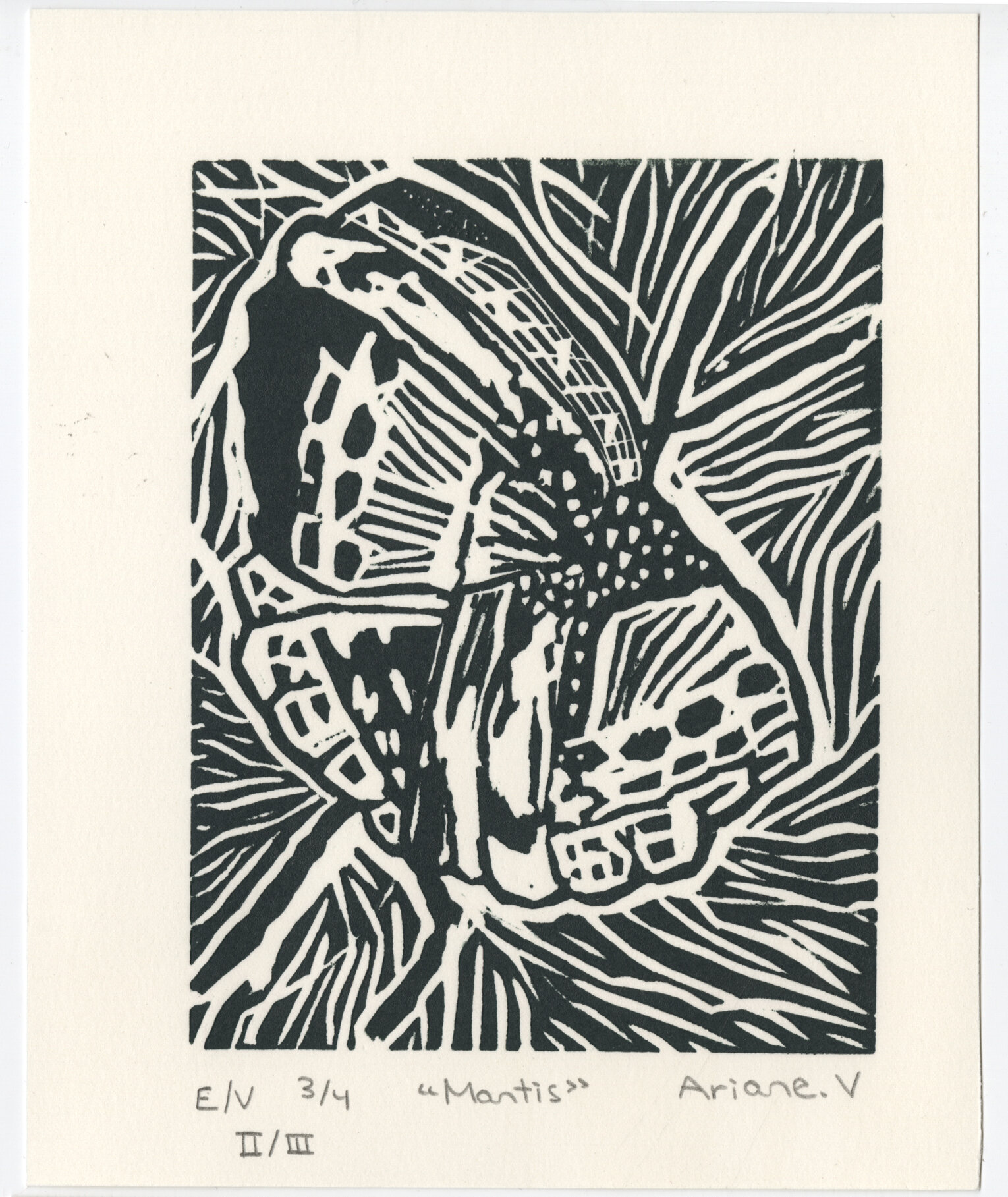 Mantis.EV. 3.4 2.3. Mantis. Carte Postale.jpg
