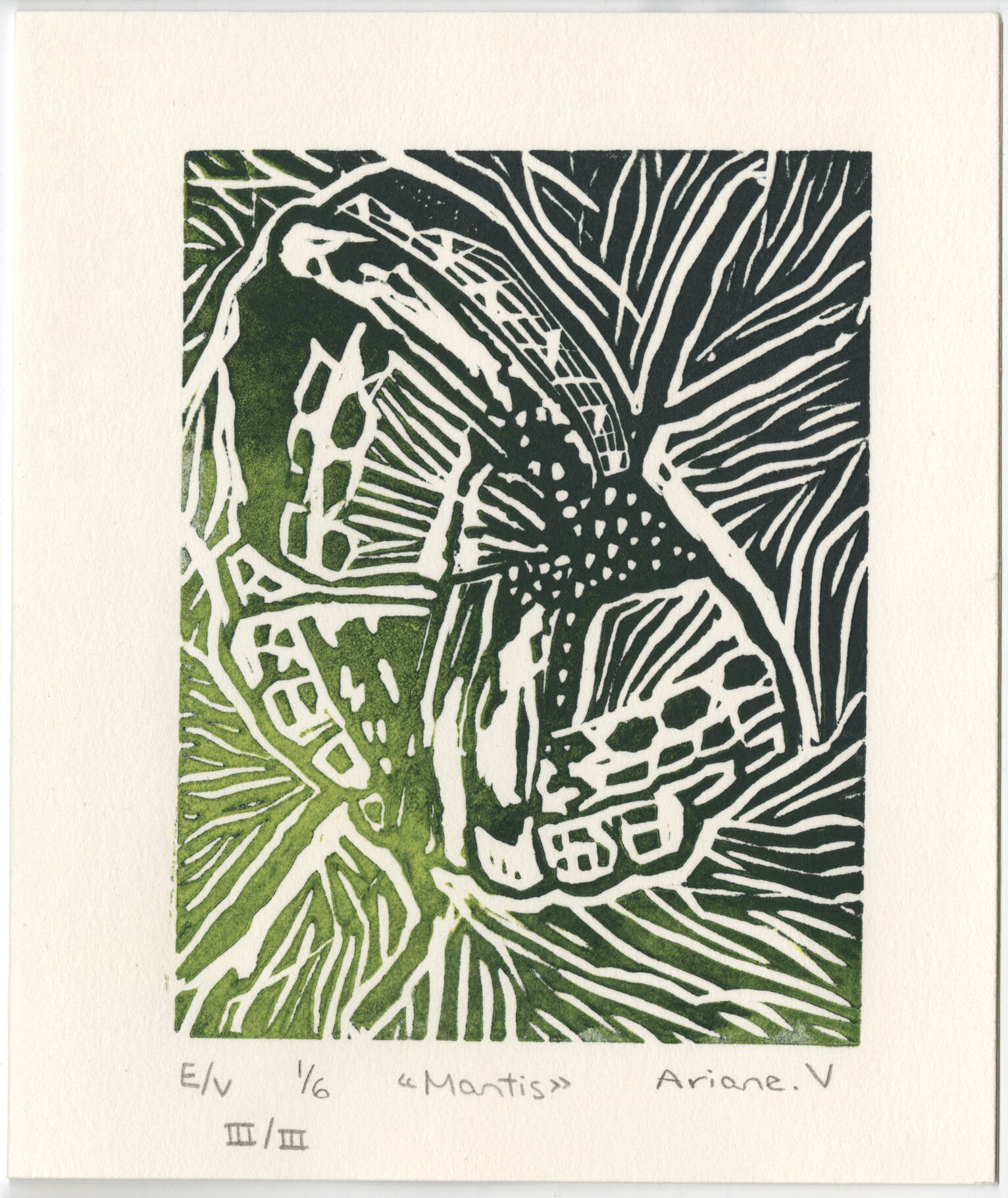 Linogravure "Mantis"  III/III - Carte de voeux