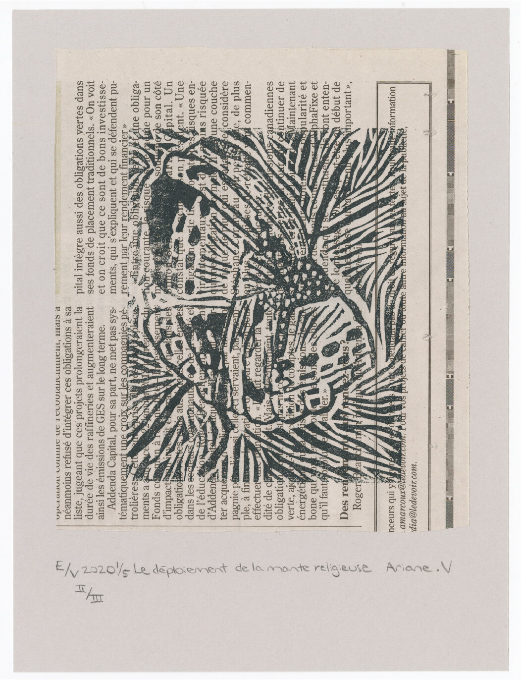 Linogravure "Le déploiement de la mante religieuse" II/III 