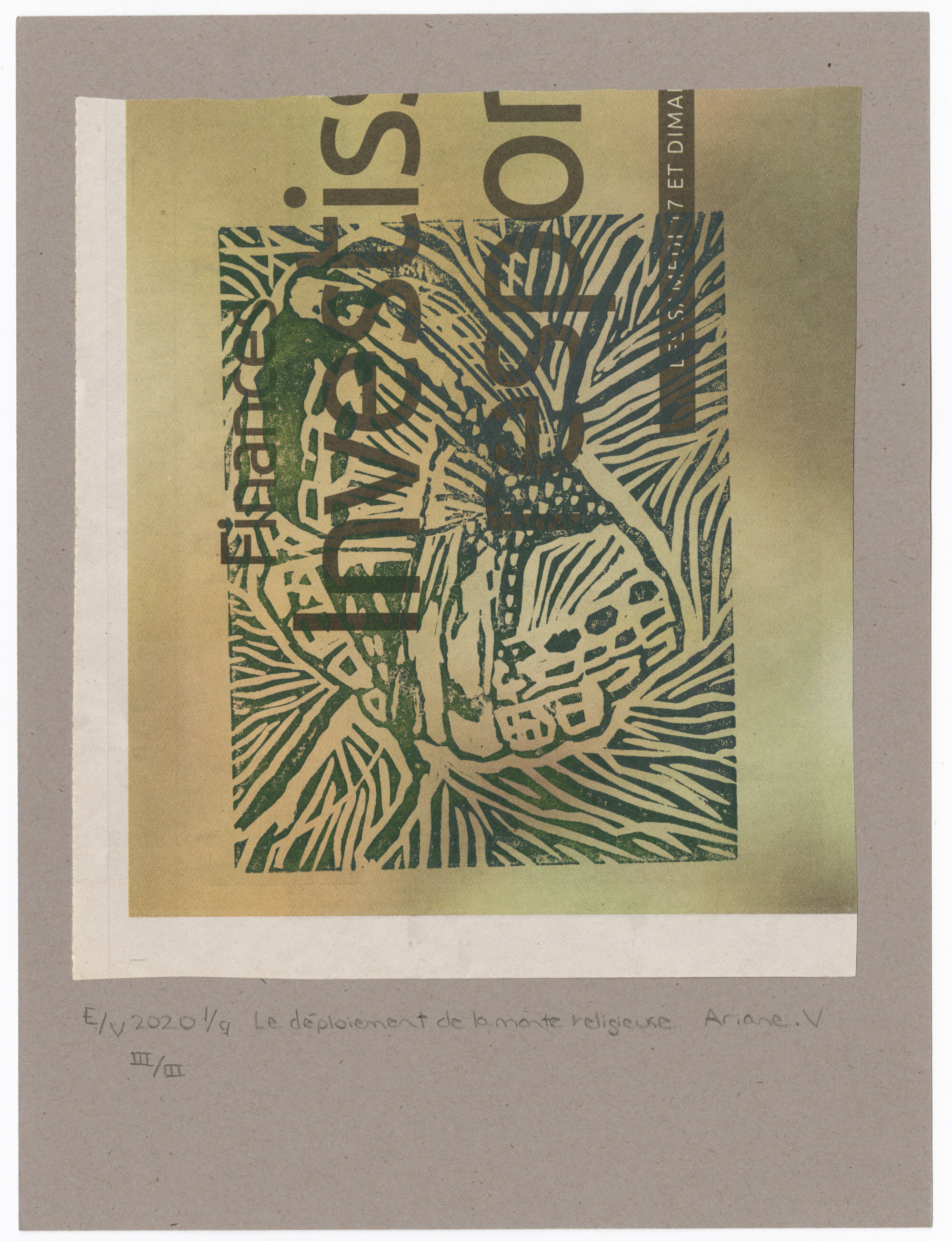 Linogravure "Le déploiement de la mante religieuse" III/III 