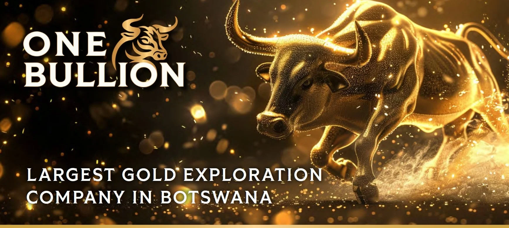 One Bullion Banner4.jpg