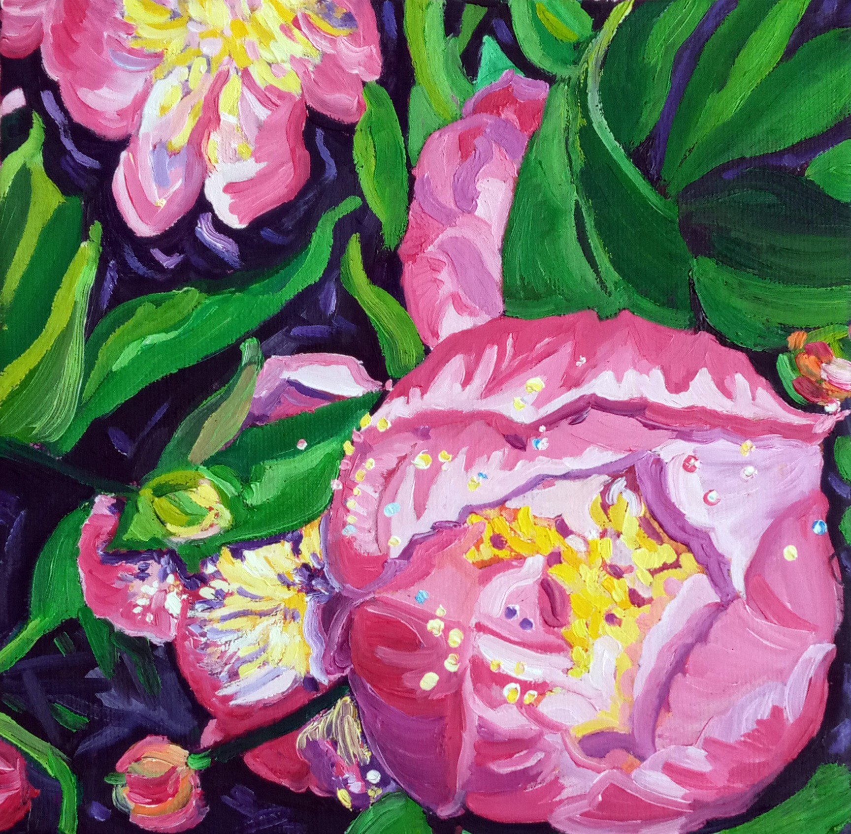 Pink Flowers